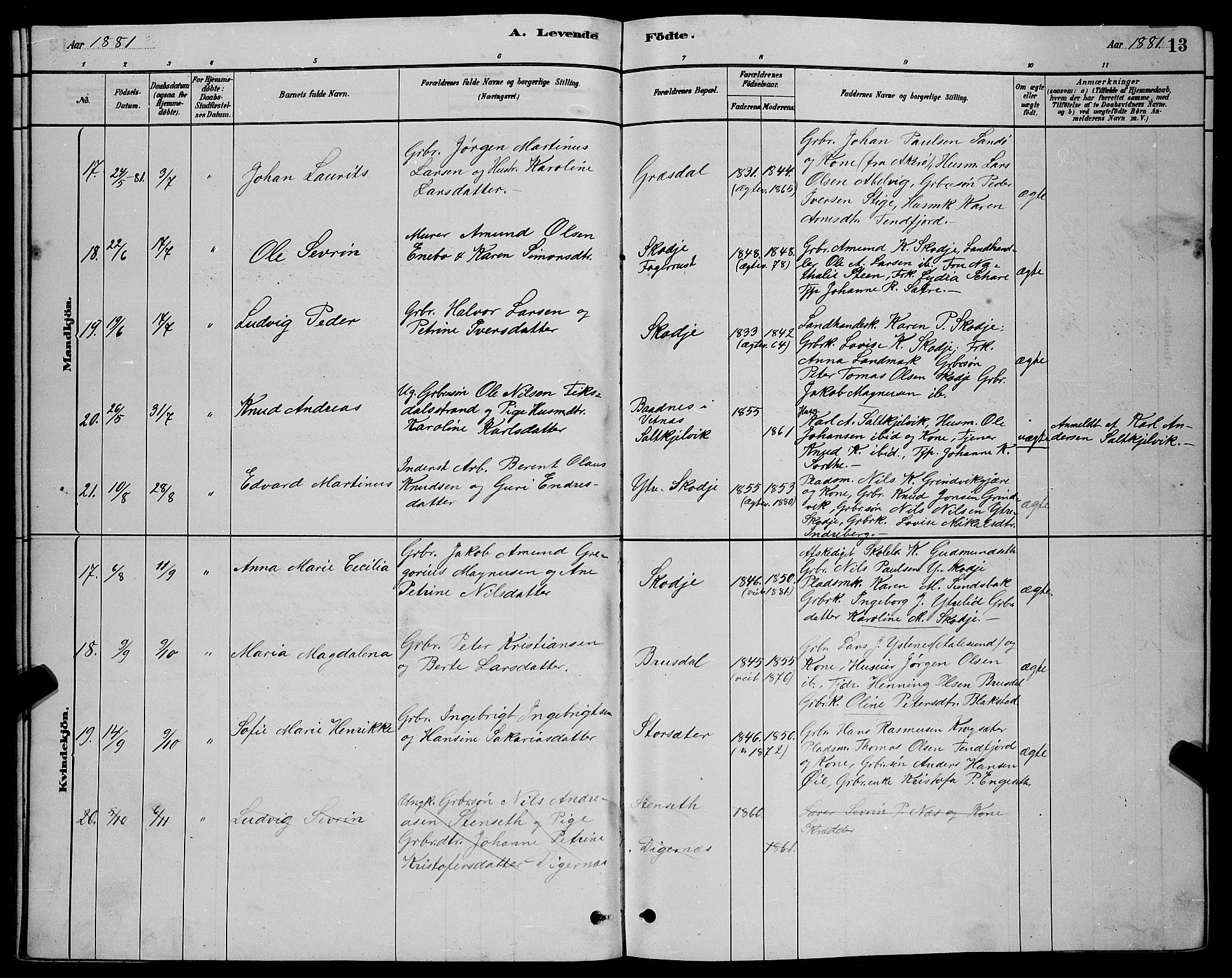 Ministerialprotokoller, klokkerbøker og fødselsregistre - Møre og Romsdal, AV/SAT-A-1454/524/L0365: Parish register (copy) no. 524C06, 1880-1899, p. 13