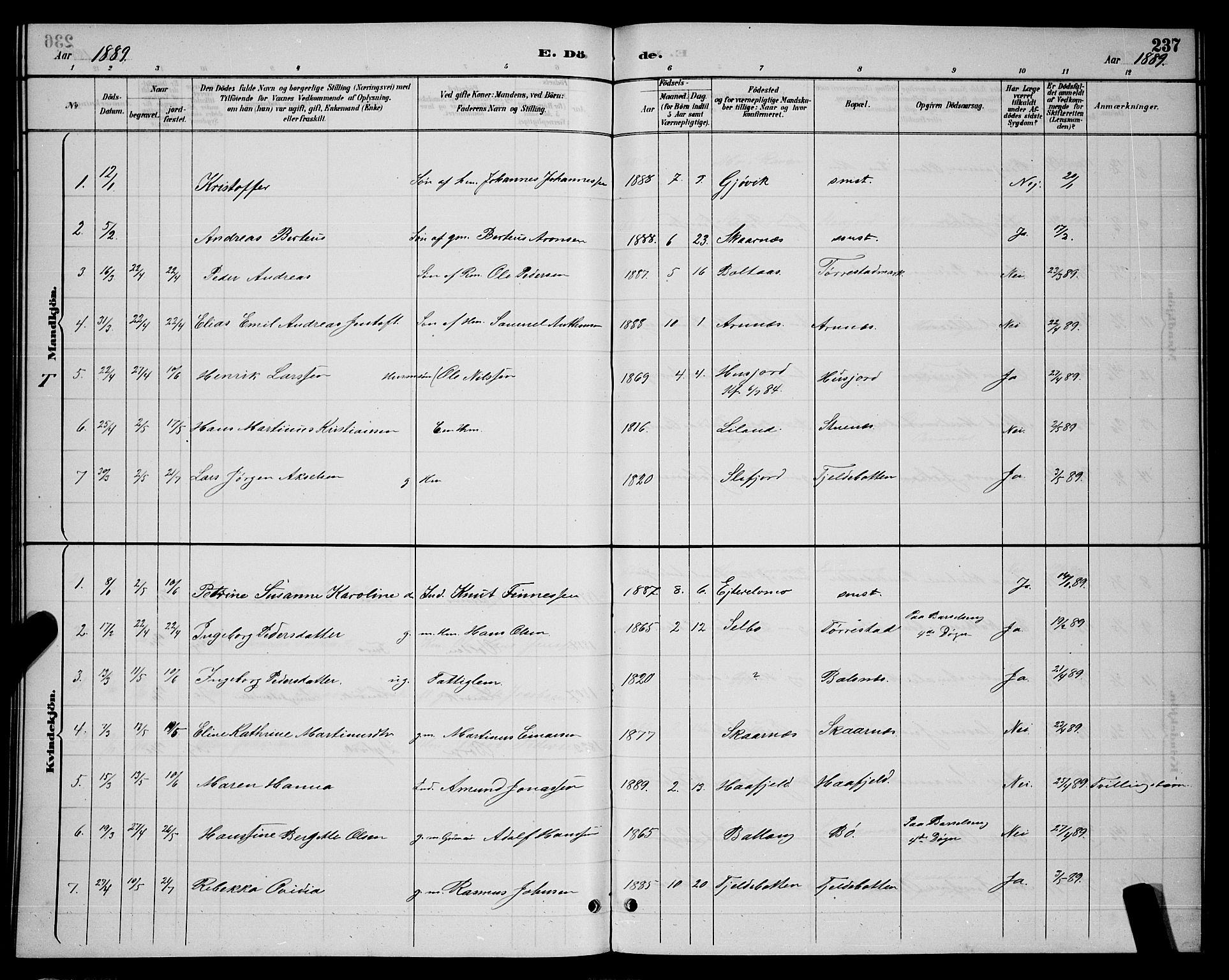 Ministerialprotokoller, klokkerbøker og fødselsregistre - Nordland, AV/SAT-A-1459/863/L0914: Parish register (copy) no. 863C04, 1886-1897, p. 237