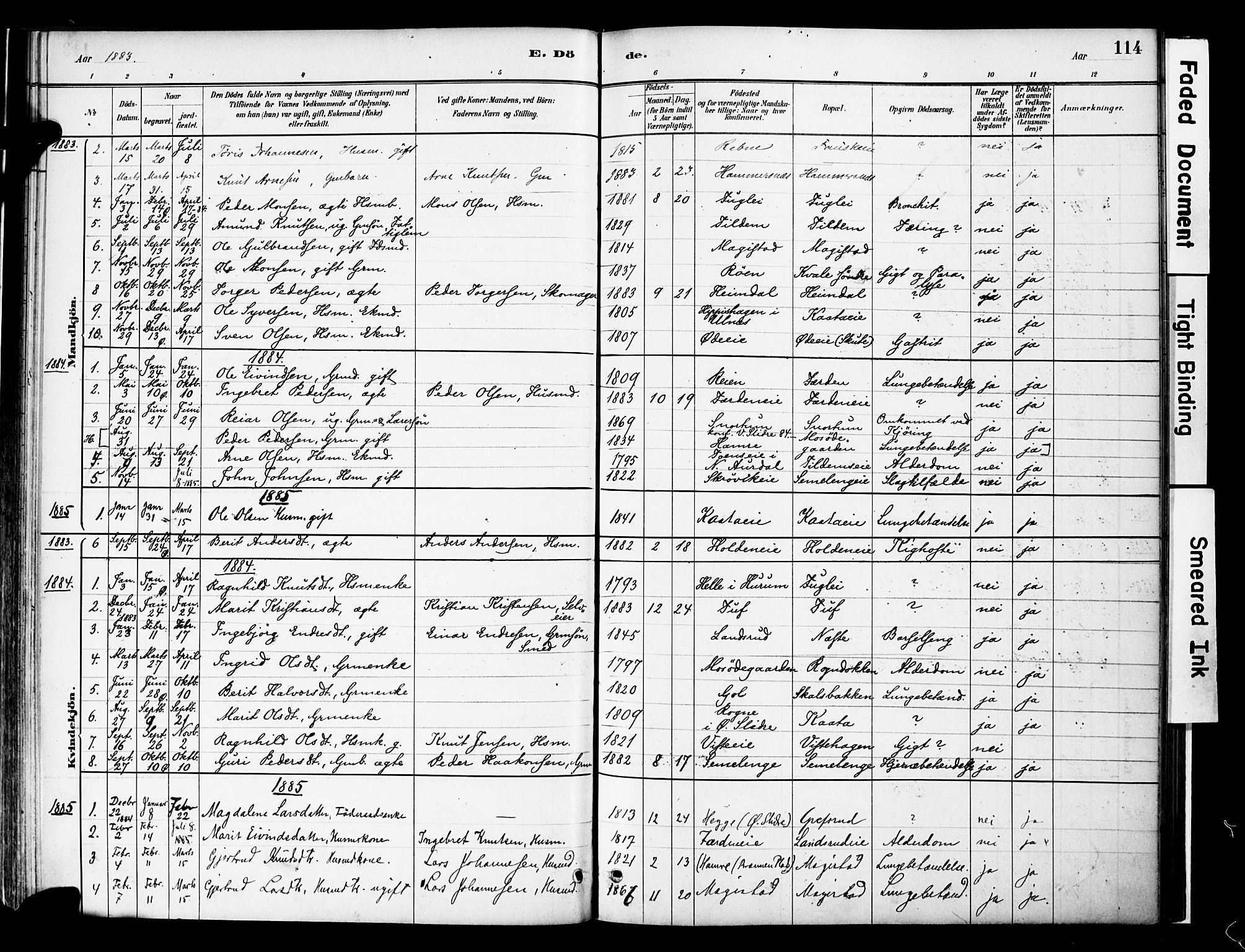 Vestre Slidre prestekontor, SAH/PREST-136/H/Ha/Haa/L0006: Parish register (official) no. 6, 1881-1912, p. 114