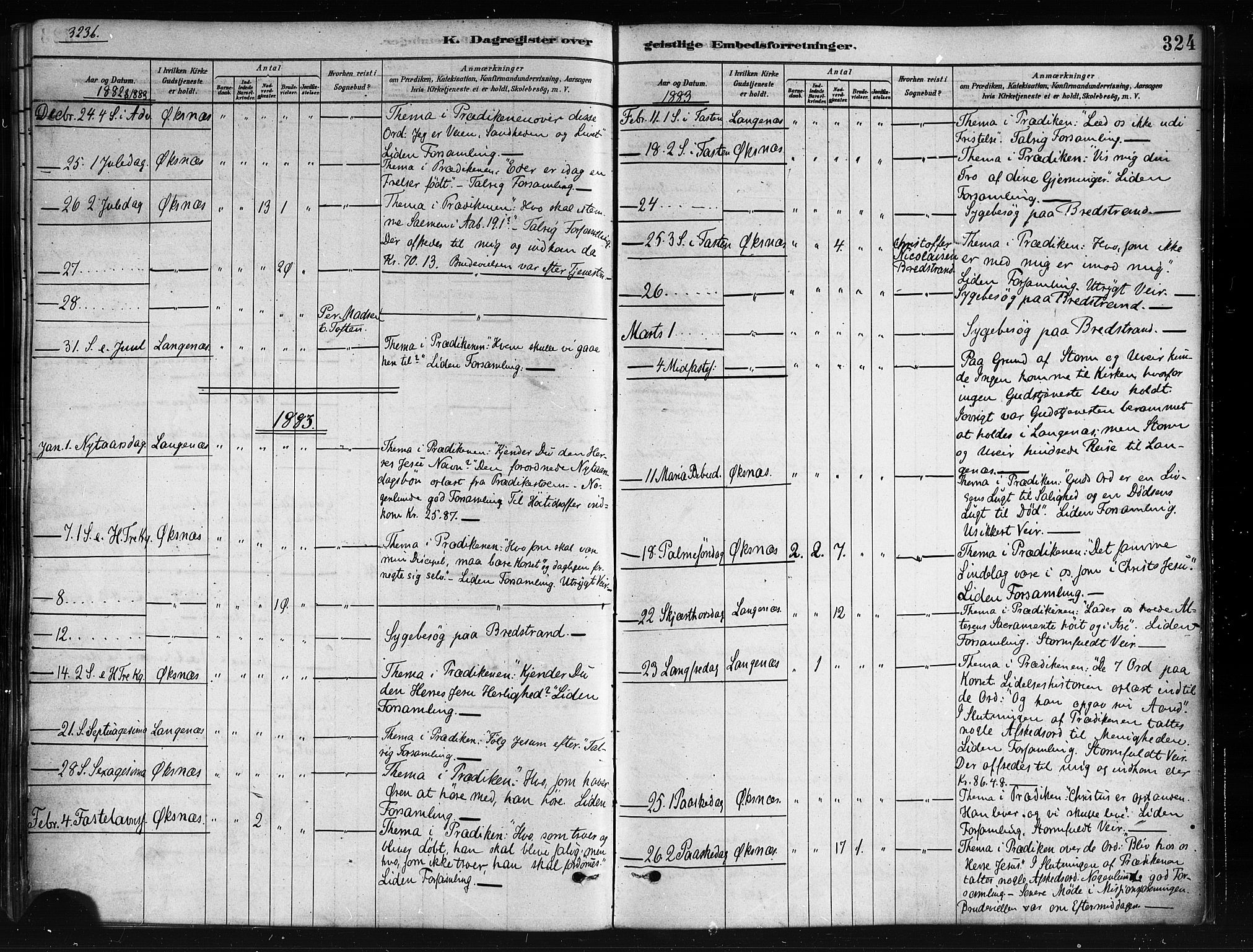 Ministerialprotokoller, klokkerbøker og fødselsregistre - Nordland, SAT/A-1459/893/L1335: Parish register (official) no. 893A08 /1, 1878-1884, p. 324