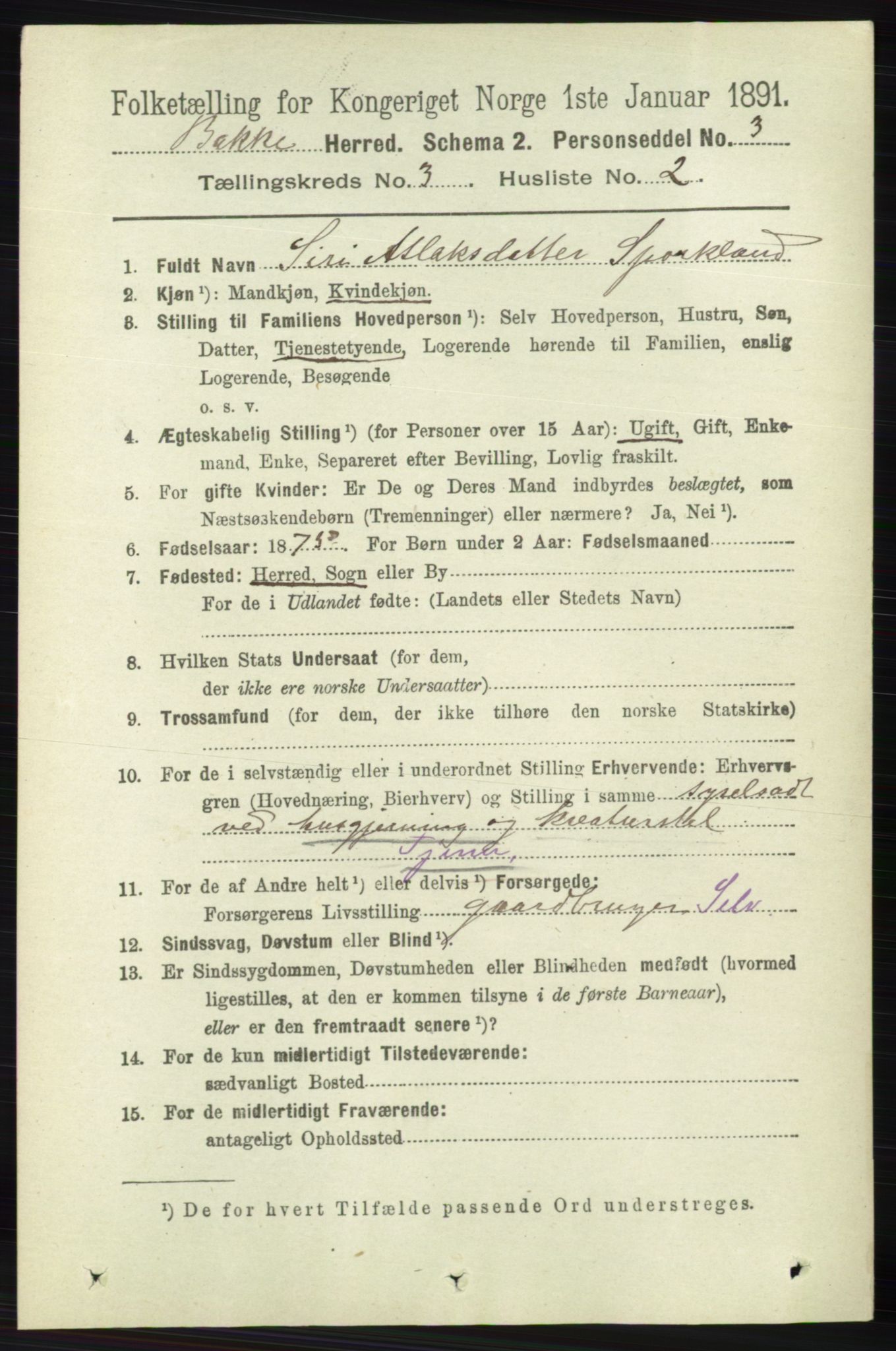 RA, 1891 census for 1045 Bakke, 1891, p. 417