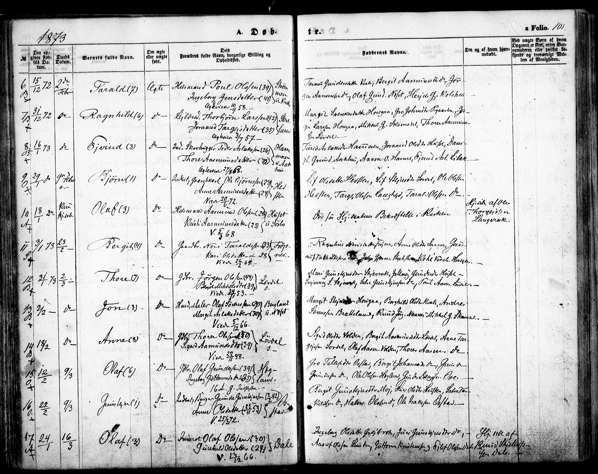 Bygland sokneprestkontor, SAK/1111-0006/F/Fa/Fab/L0005: Parish register (official) no. A 5, 1859-1873, p. 101