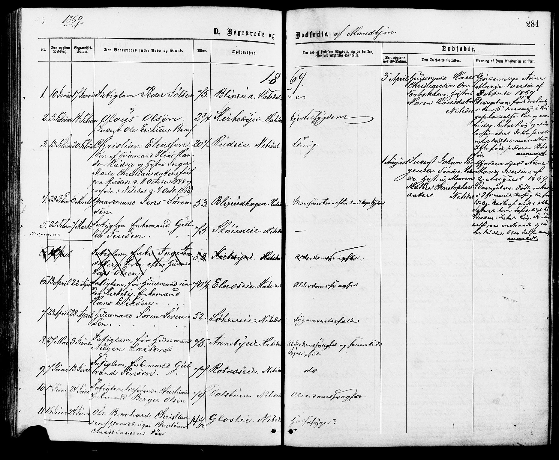 Nittedal prestekontor Kirkebøker, AV/SAO-A-10365a/F/Fa/L0006: Parish register (official) no. I 6, 1863-1878, p. 284