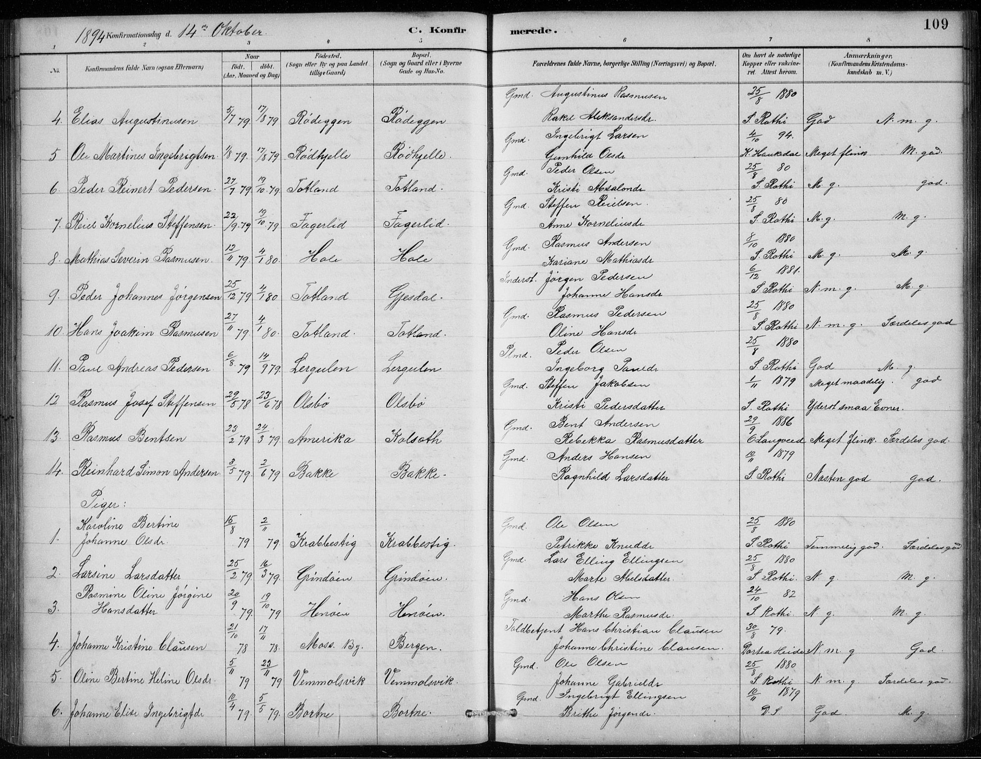 Davik sokneprestembete, AV/SAB-A-79701/H/Hab/Habc/L0002: Parish register (copy) no. C 2, 1889-1906, p. 109