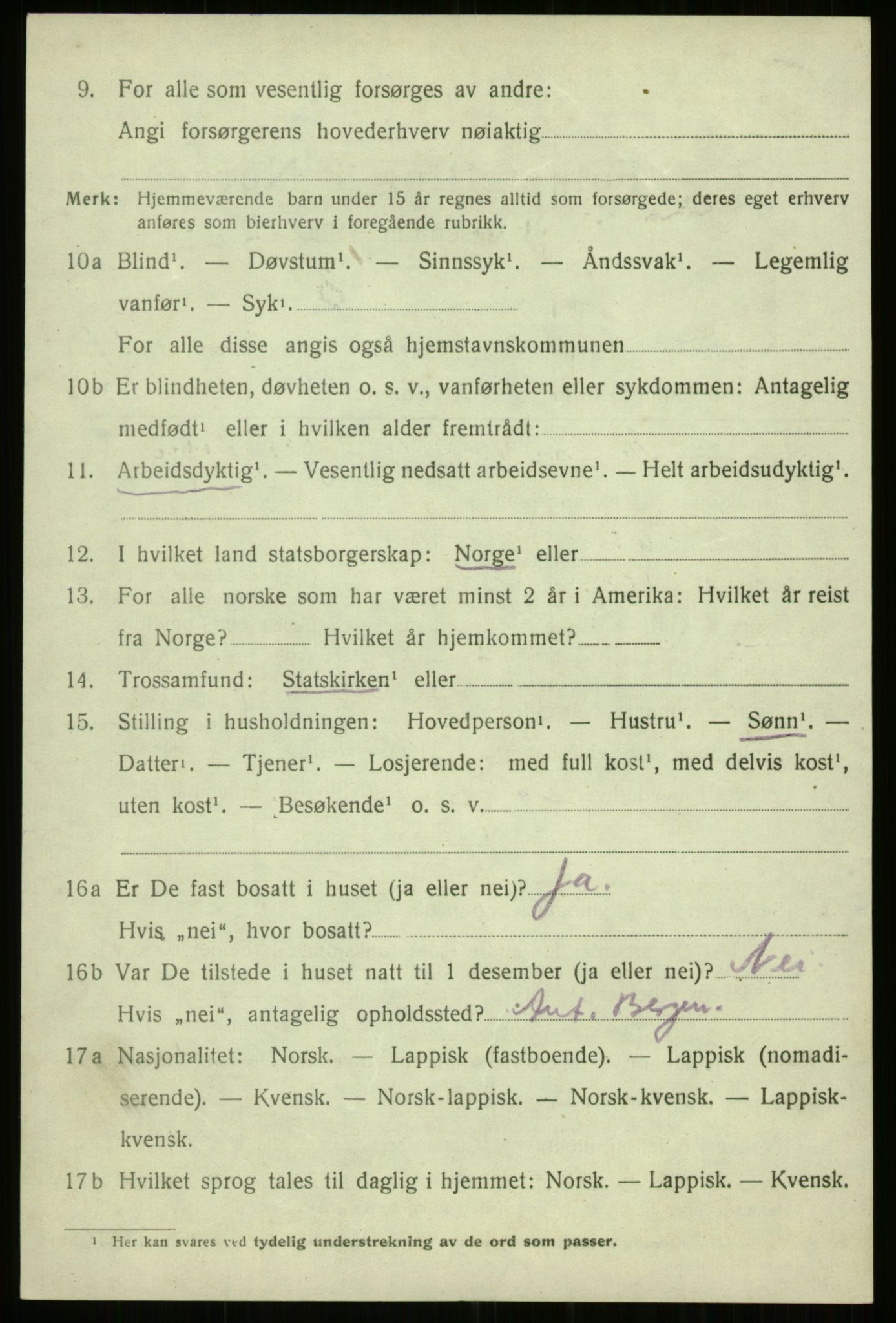 SATØ, 1920 census for Trondenes, 1920, p. 12234