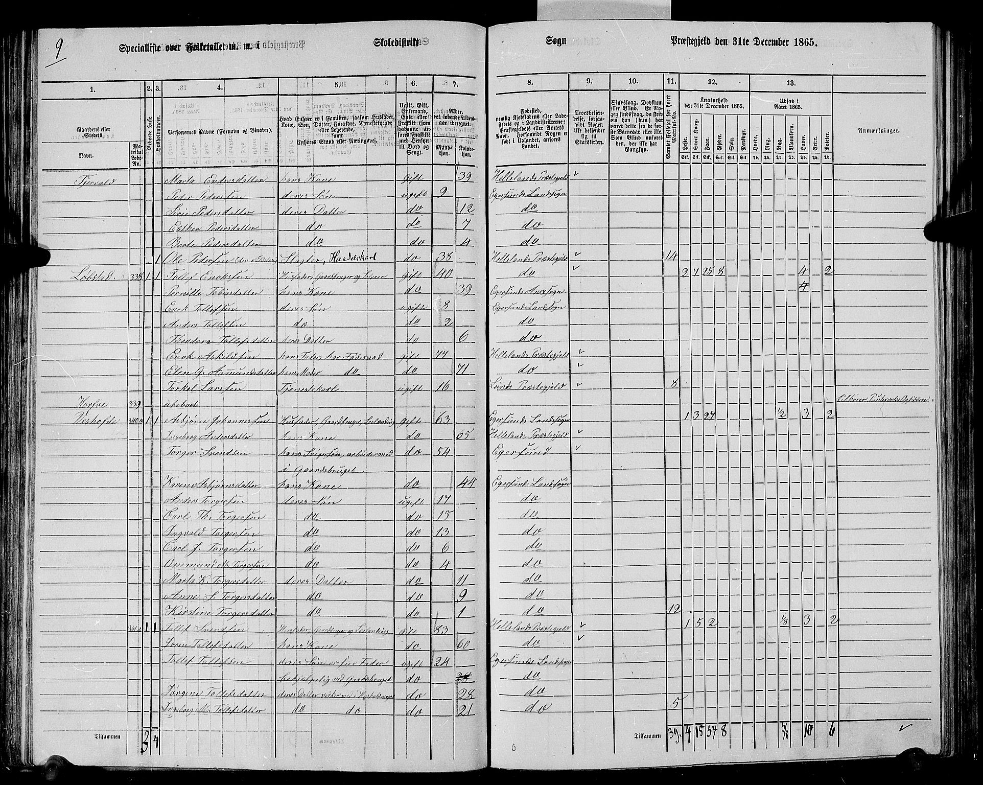 RA, 1865 census for Eigersund/Eigersund og Ogna, 1865, p. 65