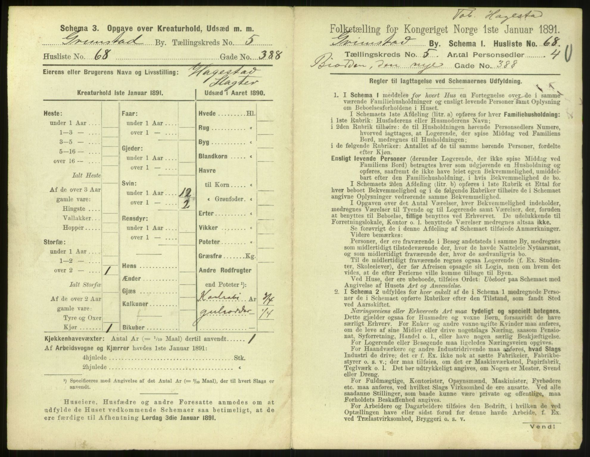 RA, 1891 census for 0904 Grimstad, 1891, p. 704