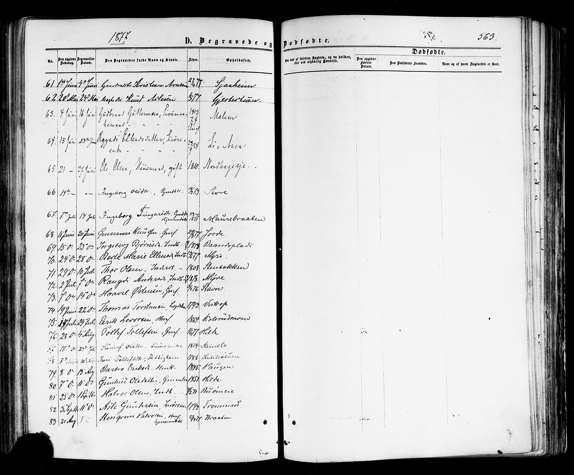 Nes kirkebøker, AV/SAKO-A-236/F/Fa/L0010: Parish register (official) no. 10, 1864-1880, p. 563