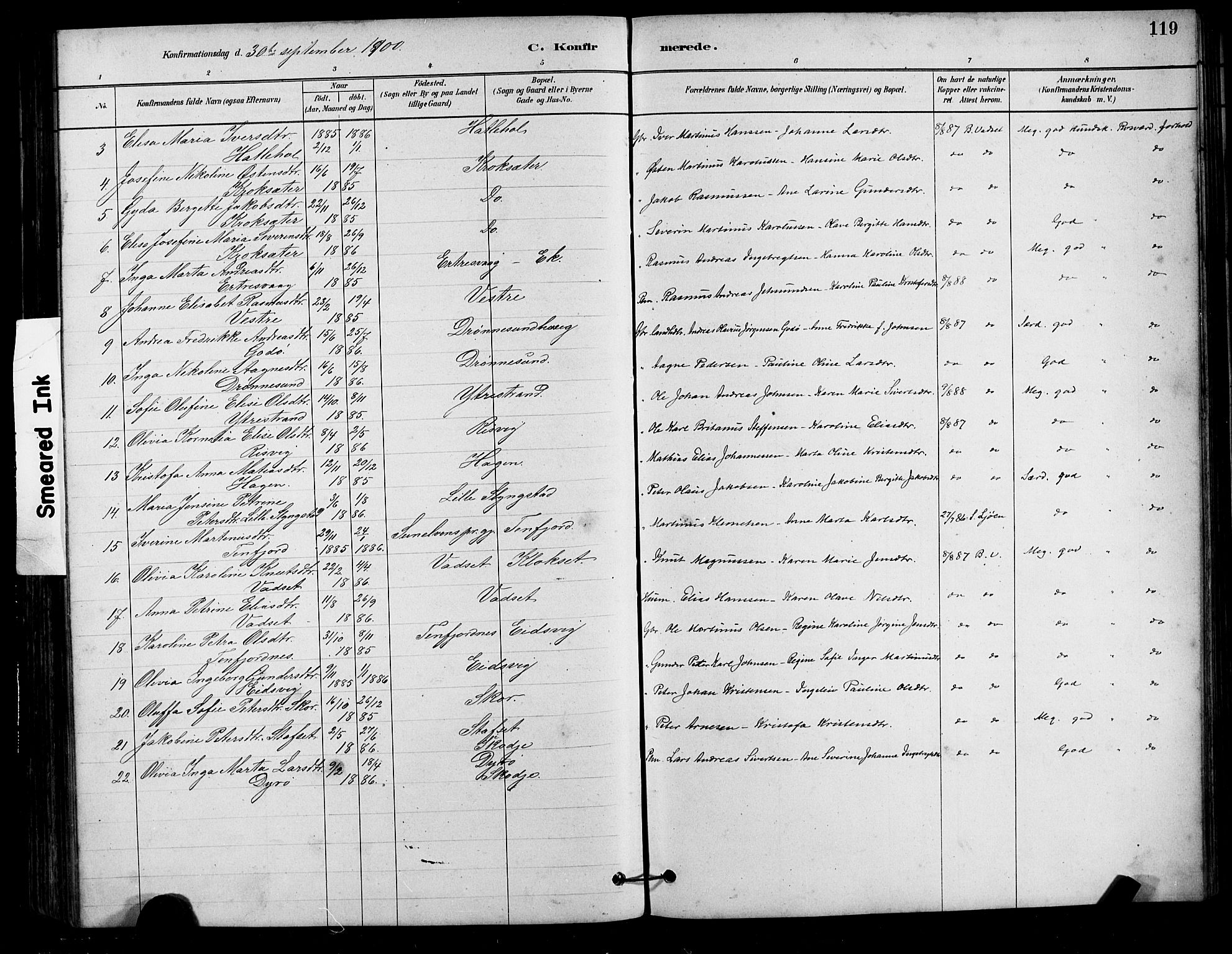 Ministerialprotokoller, klokkerbøker og fødselsregistre - Møre og Romsdal, AV/SAT-A-1454/525/L0376: Parish register (copy) no. 525C02, 1880-1902, p. 119