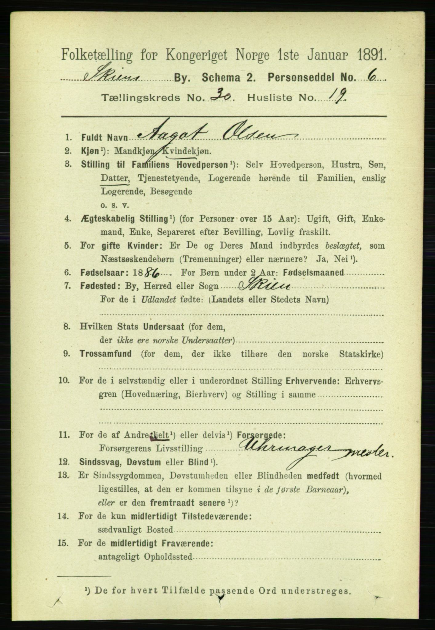 RA, 1891 census for 0806 Skien, 1891, p. 7035