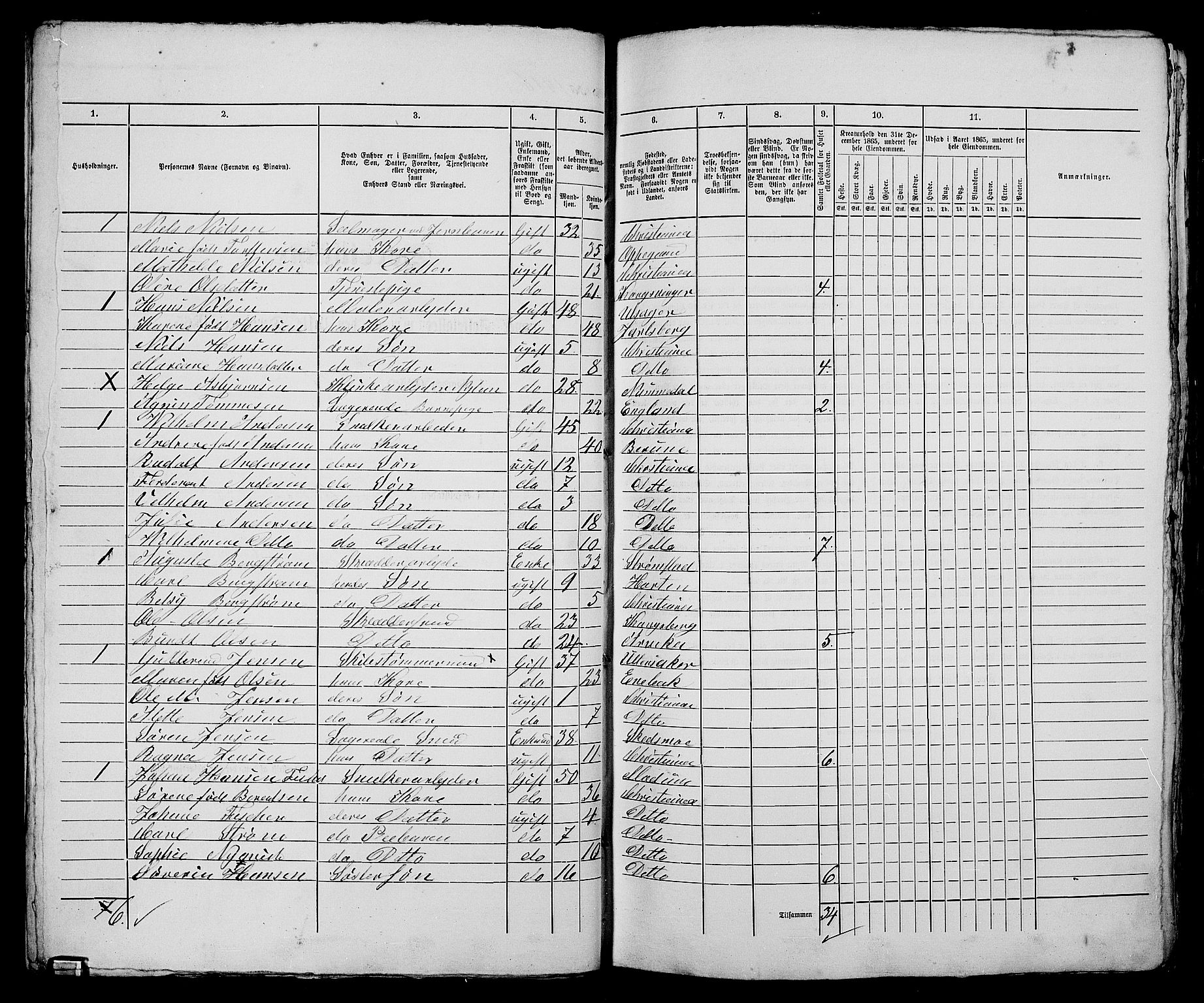 RA, 1865 census for Kristiania, 1865, p. 3219