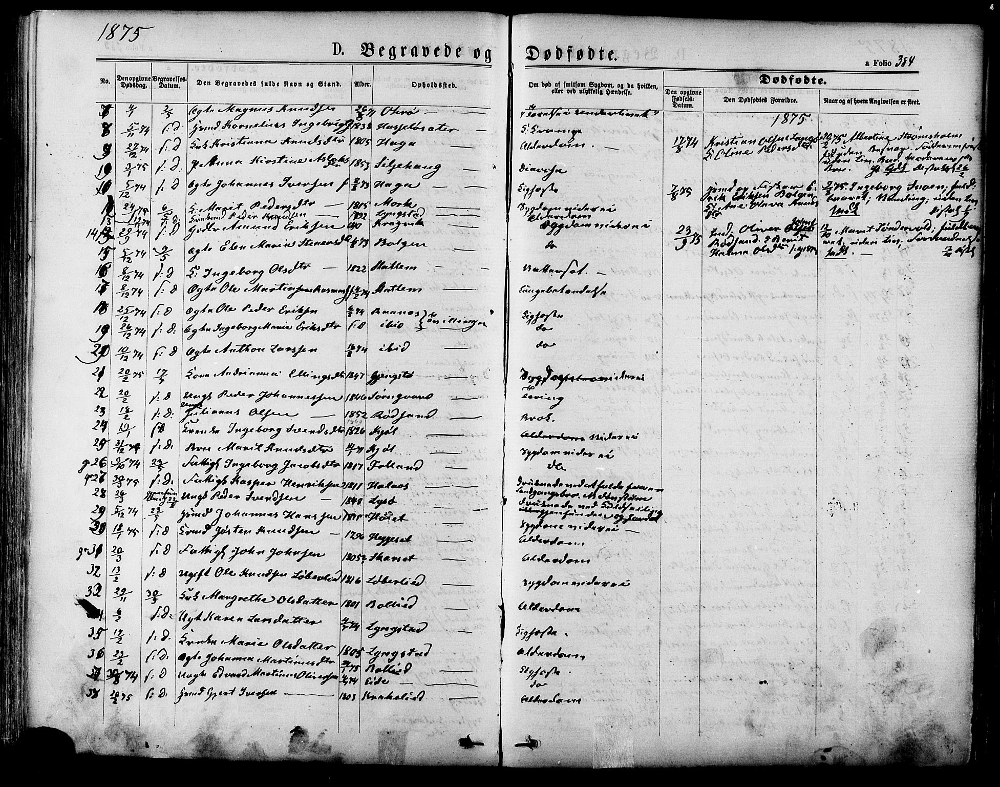 Ministerialprotokoller, klokkerbøker og fødselsregistre - Møre og Romsdal, SAT/A-1454/568/L0805: Parish register (official) no. 568A12 /1, 1869-1884, p. 384