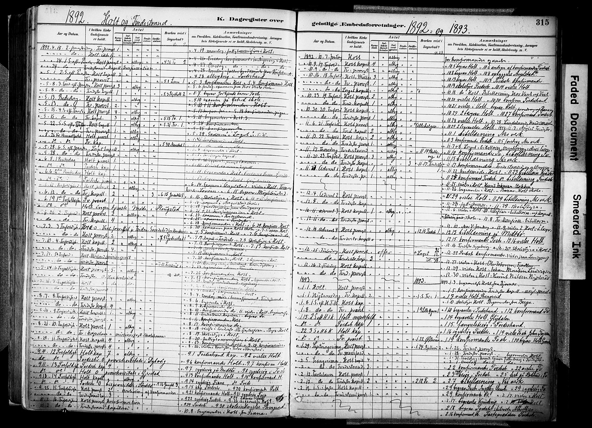 Holt sokneprestkontor, AV/SAK-1111-0021/F/Fa/L0012: Parish register (official) no. A 12, 1885-1907, p. 315