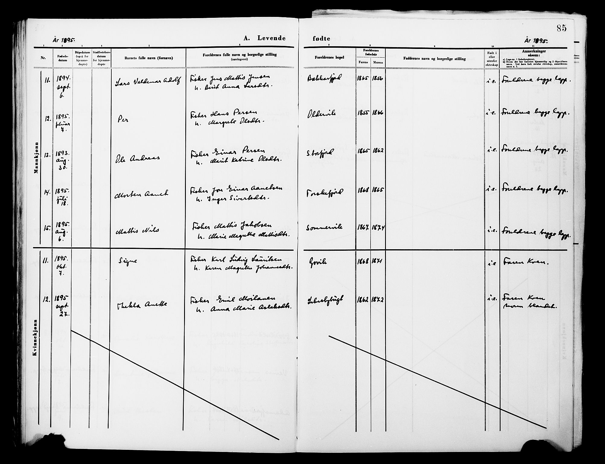 Lebesby sokneprestkontor, AV/SATØ-S-1353/H/Ha/L0004kirke: Parish register (official) no. 4, 1870-1902, p. 85