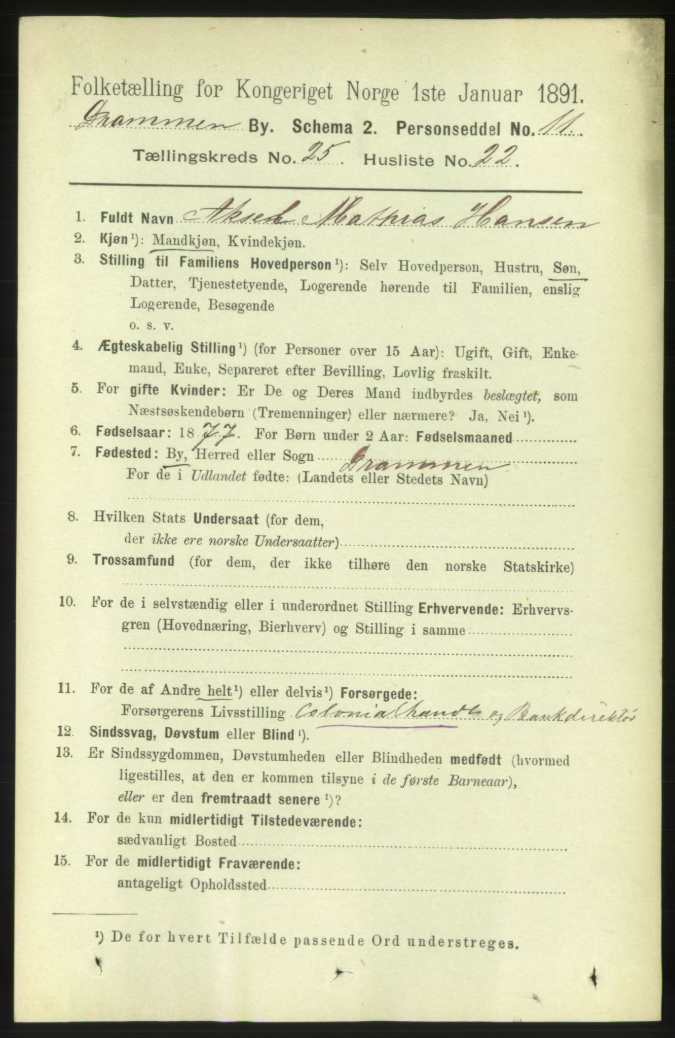 RA, 1891 census for 0602 Drammen, 1891, p. 15418