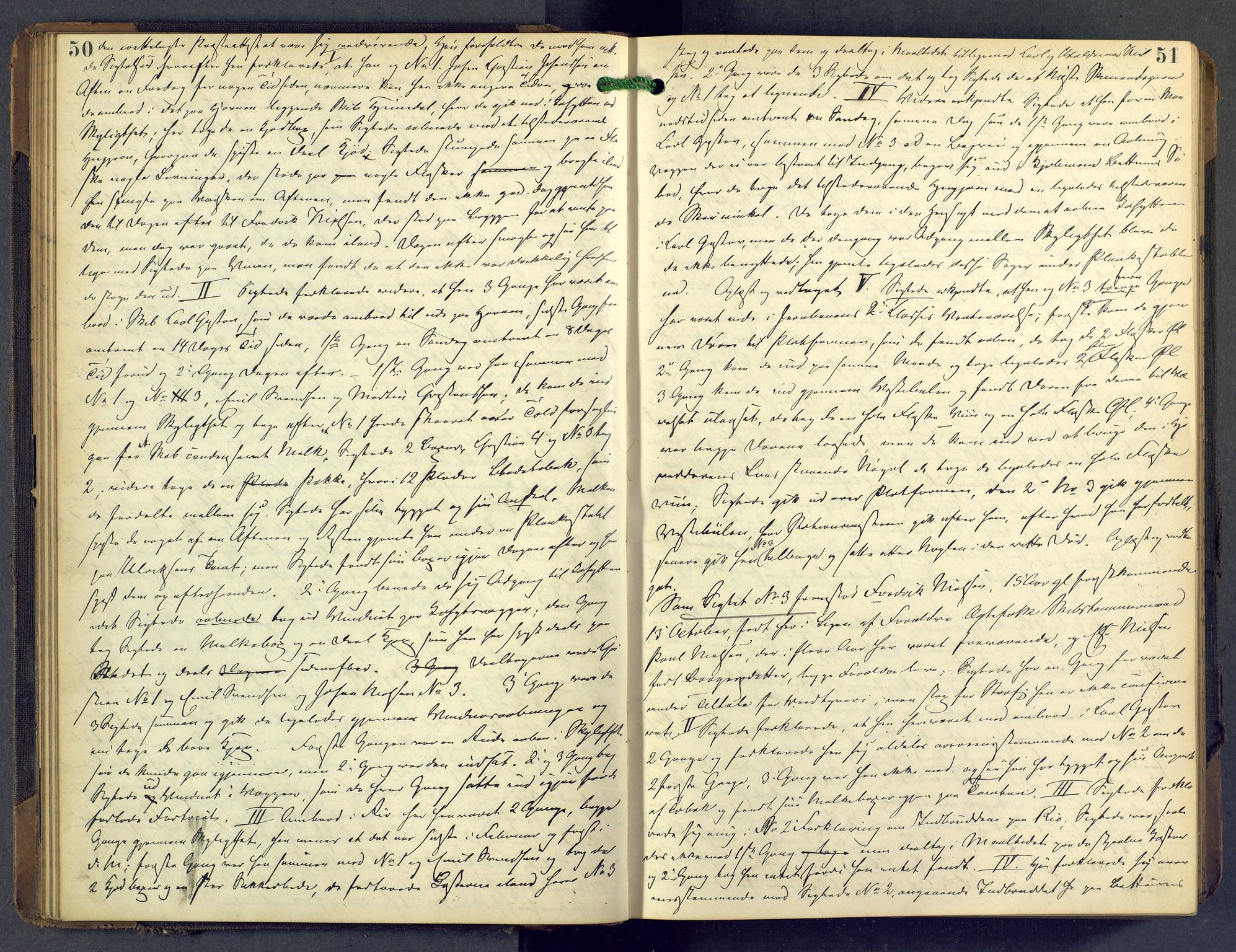 Nordre Jarlsberg sorenskriveri, AV/SAKO-A-80/F/Fb/Fba/L0028: Ekstrarettsprotokoll, 1891-1897, p. 50-51