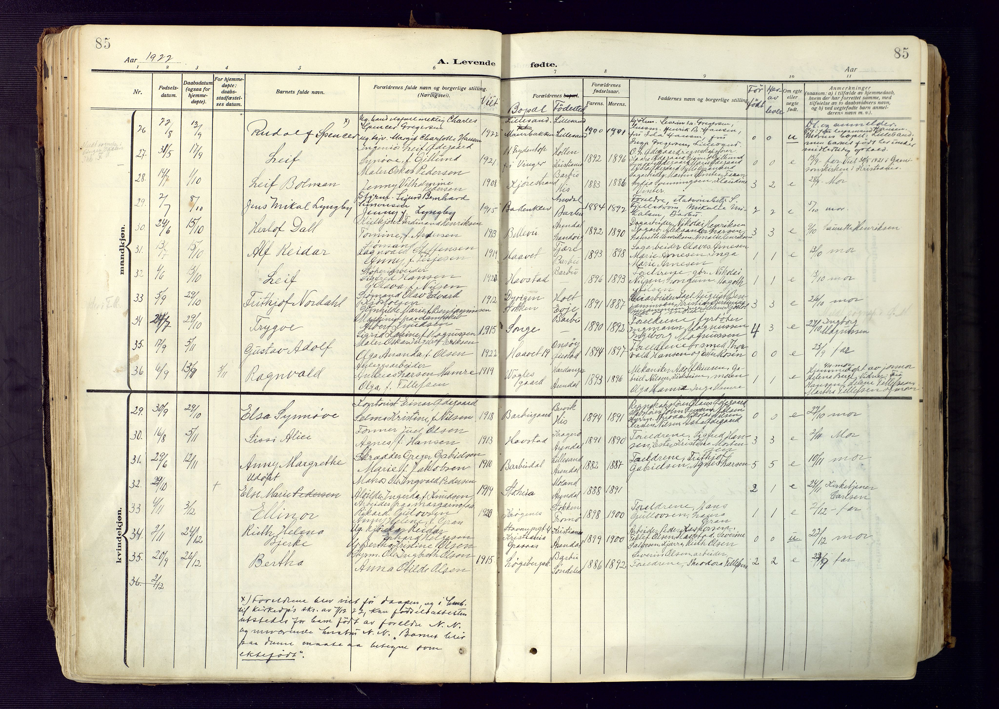 Barbu sokneprestkontor, AV/SAK-1111-0003/F/Fa/L0006: Parish register (official) no. A 6, 1910-1929, p. 85