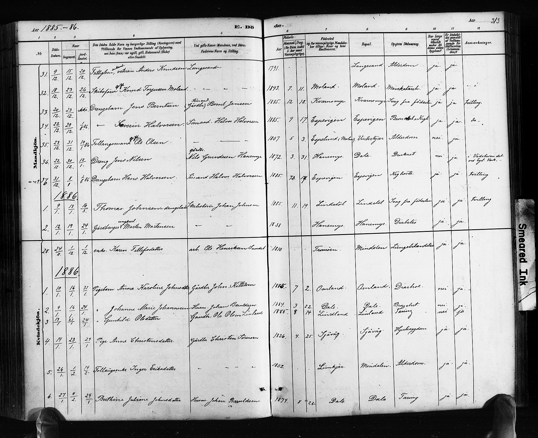 Søndeled sokneprestkontor, AV/SAK-1111-0038/F/Fa/L0004: Parish register (official) no. A 4, 1880-1889, p. 313