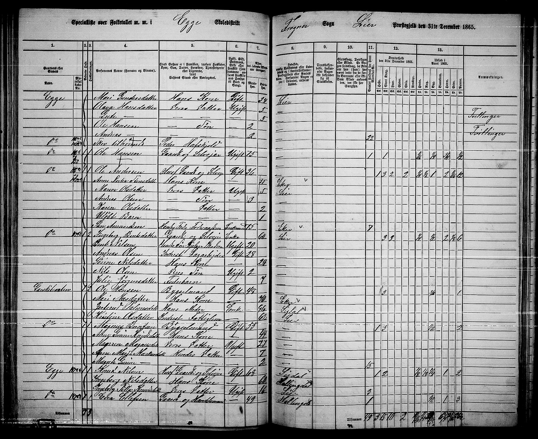 RA, 1865 census for Lier, 1865, p. 87