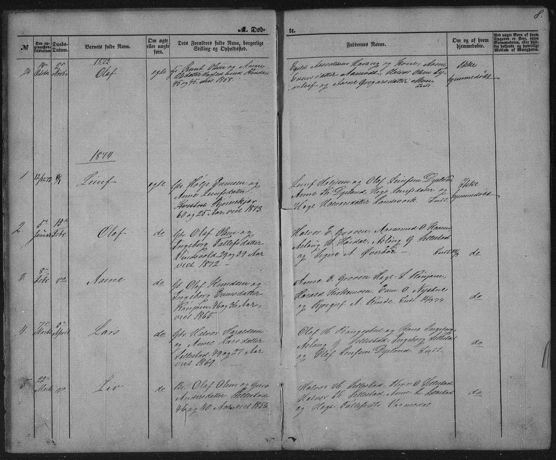 Seljord kirkebøker, AV/SAKO-A-20/G/Gc/L0002: Parish register (copy) no. III 2, 1872-1886, p. 8