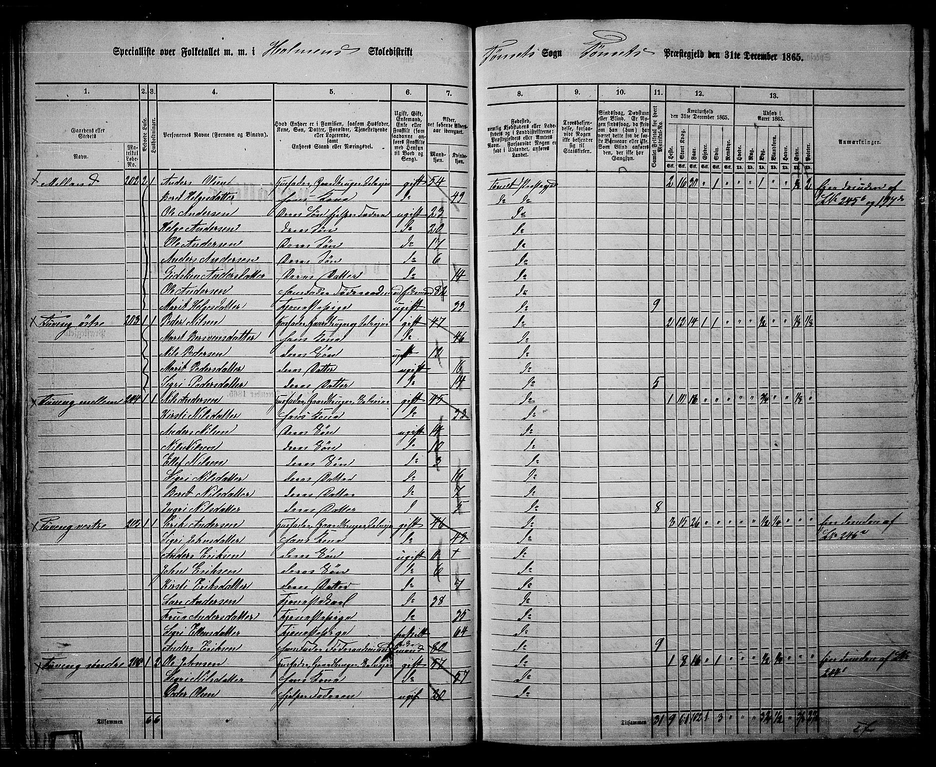 RA, 1865 census for Tynset, 1865, p. 43