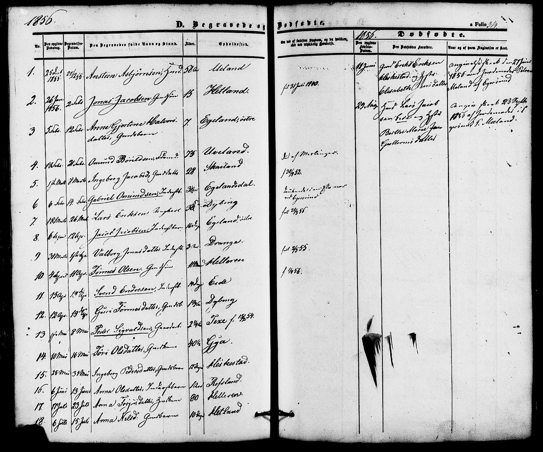 Lund sokneprestkontor, AV/SAST-A-101809/S06/L0010: Parish register (official) no. A 9, 1854-1886, p. 314