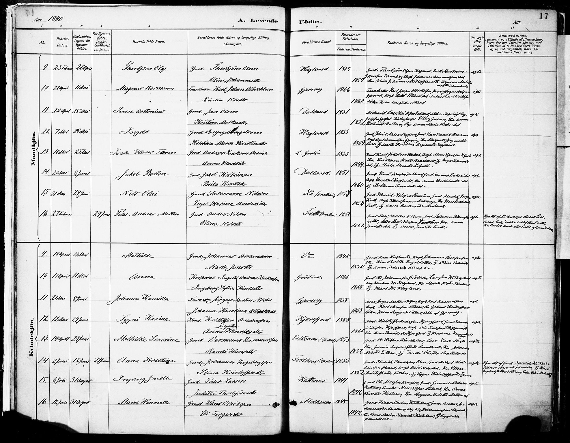 Tysnes sokneprestembete, AV/SAB-A-78601/H/Haa: Parish register (official) no. B 1, 1887-1906, p. 17