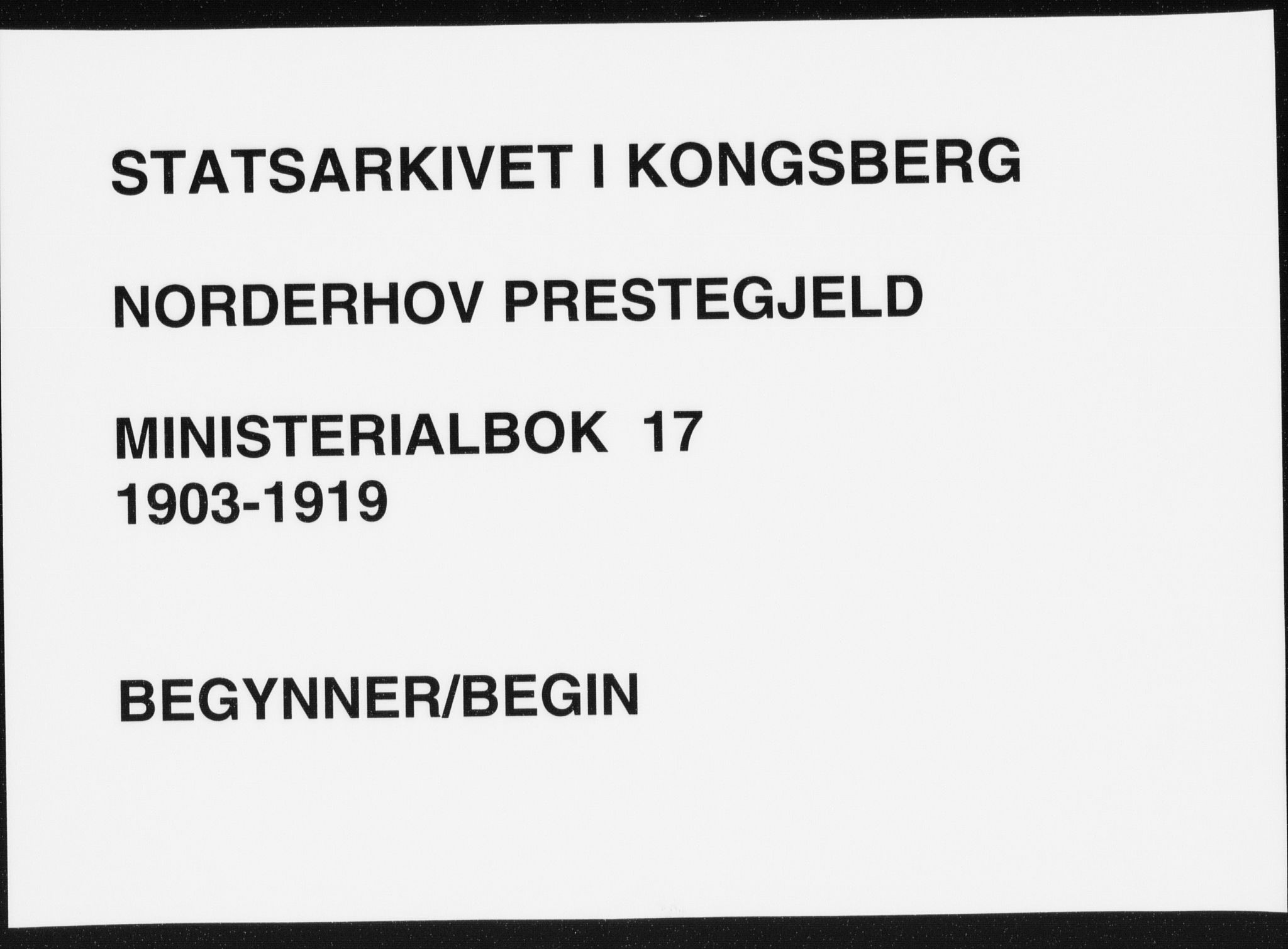 Norderhov kirkebøker, SAKO/A-237/F/Fa/L0017: Parish register (official) no. 17, 1903-1919