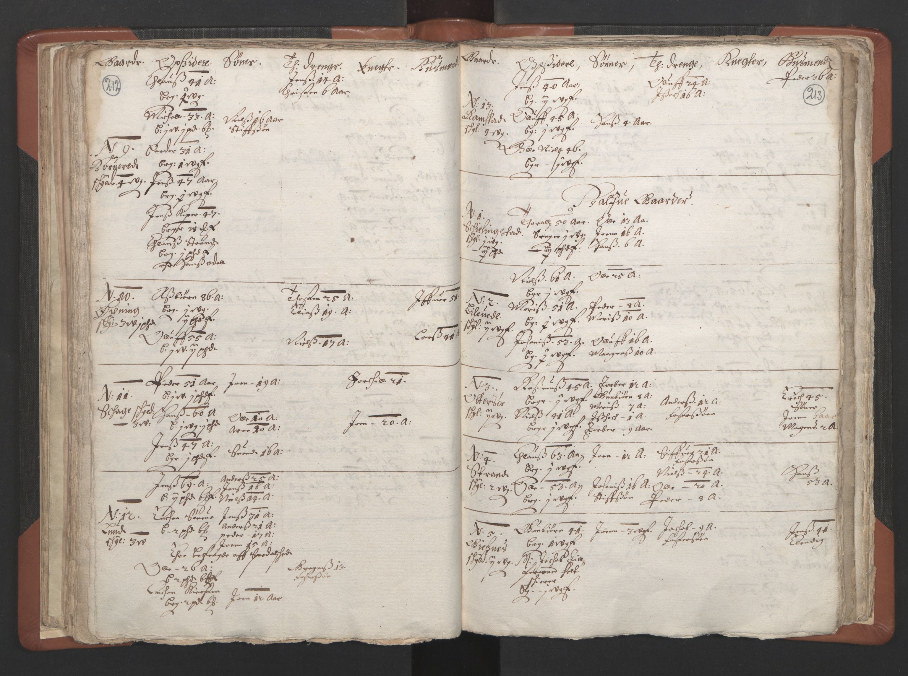 RA, Vicar's Census 1664-1666, no. 34: Namdal deanery, 1664-1666, p. 212-213