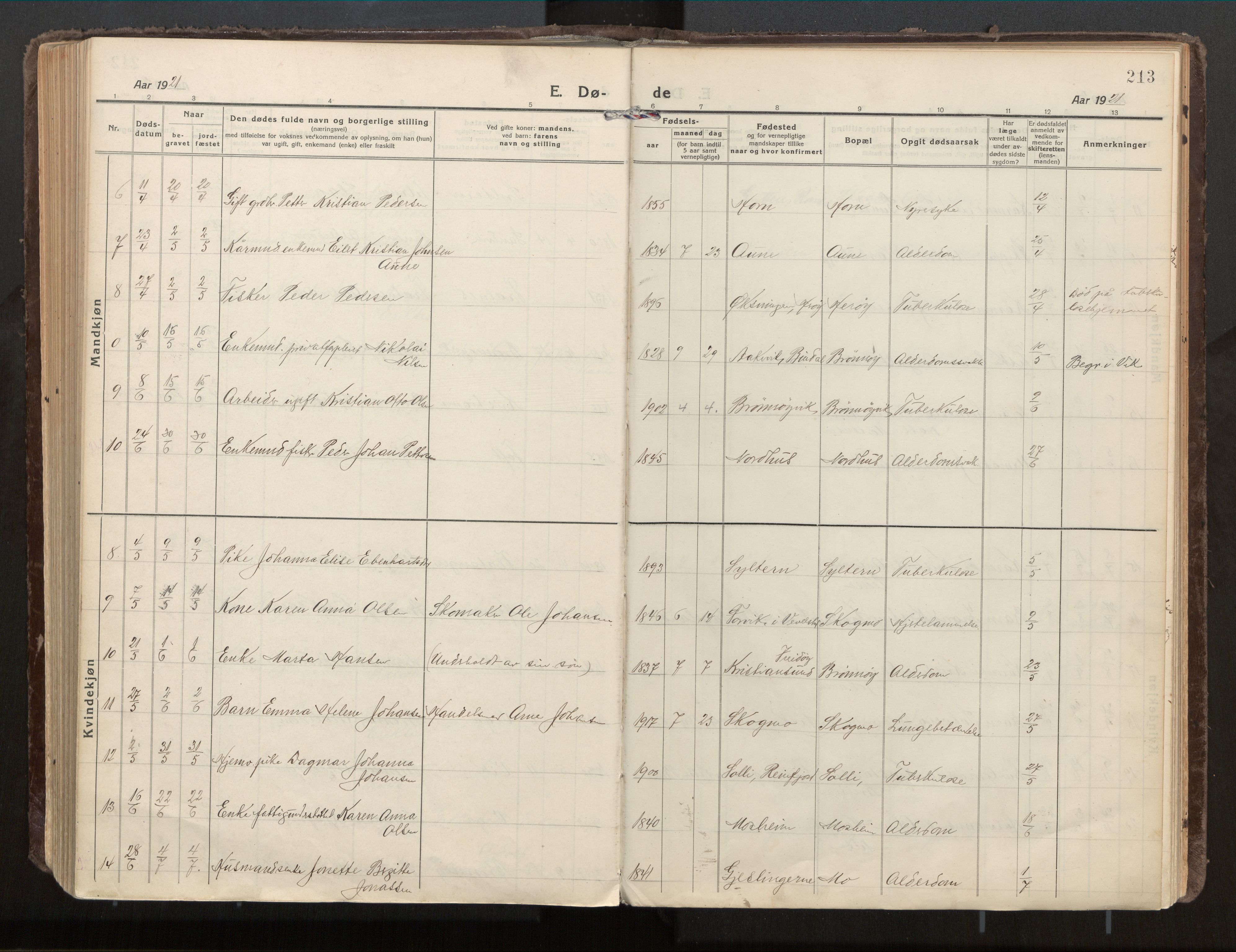 Ministerialprotokoller, klokkerbøker og fødselsregistre - Nordland, AV/SAT-A-1459/813/L0207a: Parish register (official) no. 813A18, 1919-1927, p. 213