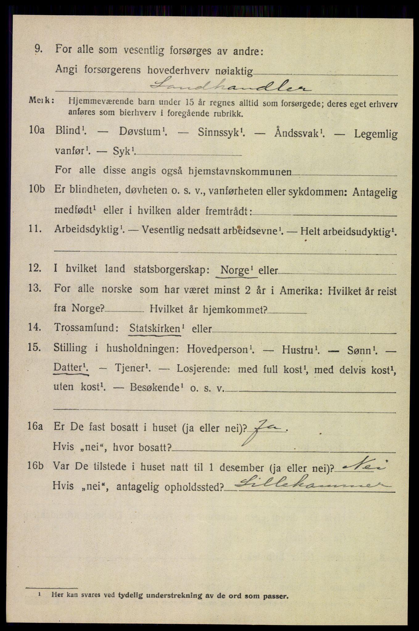 SAH, 1920 census for Heidal, 1920, p. 1413