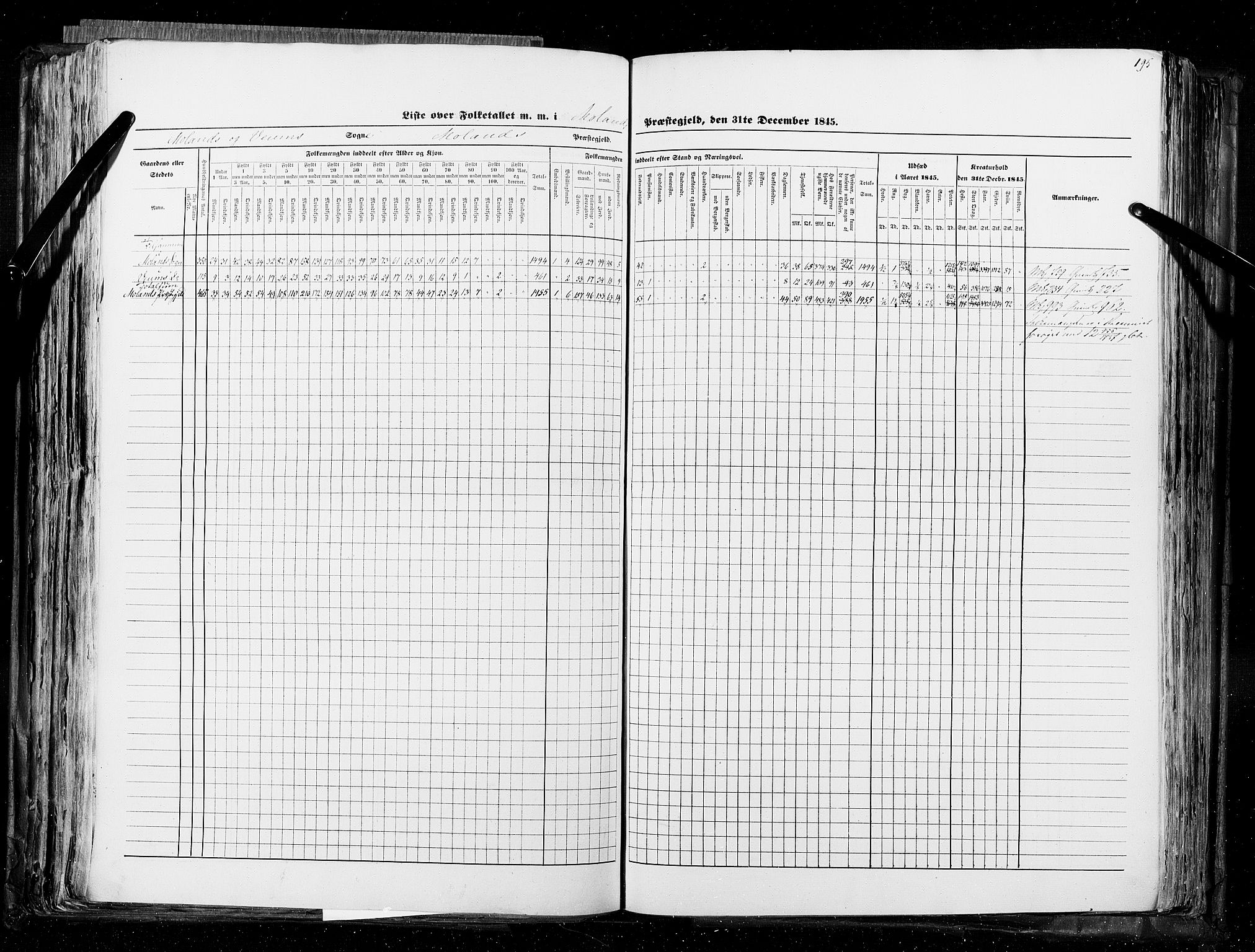 RA, Census 1845, vol. 5: Bratsberg amt og Nedenes og Råbyggelaget amt, 1845, p. 195