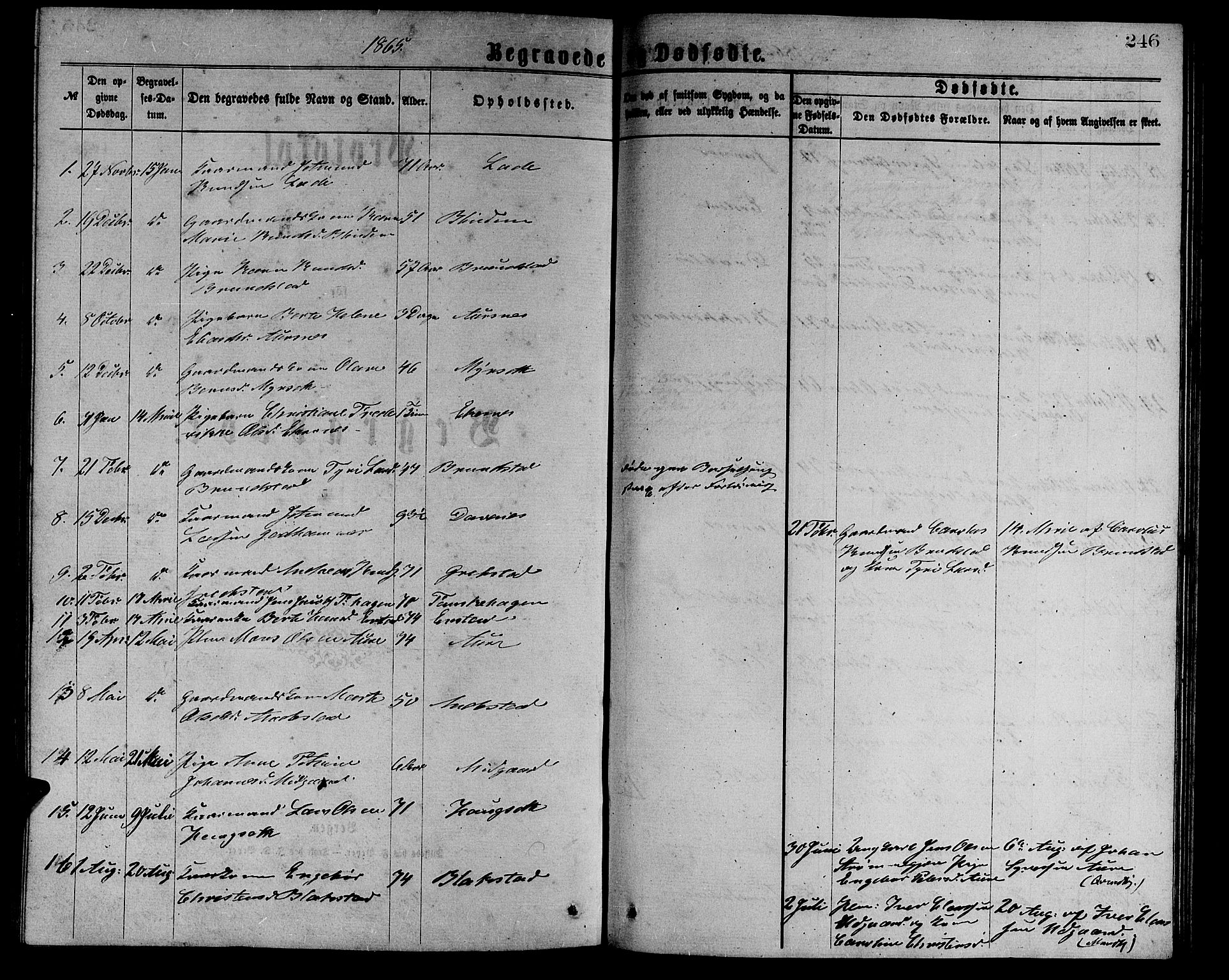 Ministerialprotokoller, klokkerbøker og fødselsregistre - Møre og Romsdal, SAT/A-1454/523/L0338: Parish register (copy) no. 523C01, 1865-1877, p. 246