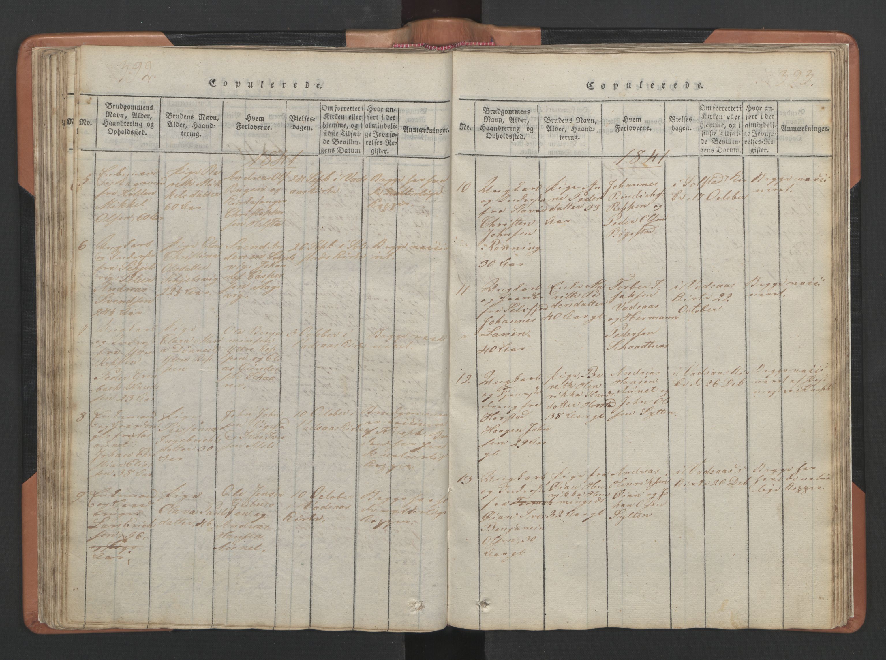 Ministerialprotokoller, klokkerbøker og fødselsregistre - Nordland, SAT/A-1459/810/L0157: Parish register (copy) no. 810C01, 1819-1842, p. 392-393