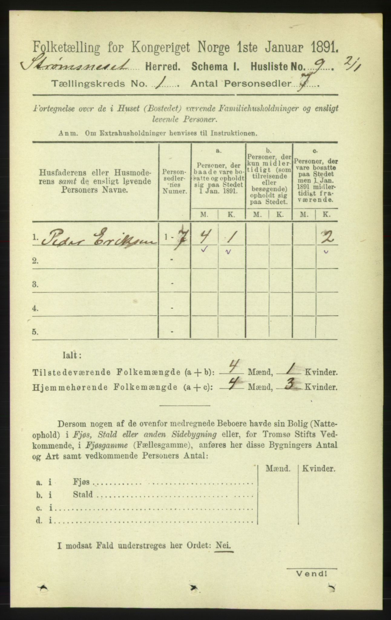 RA, 1891 census for 1559 Straumsnes, 1891, p. 30