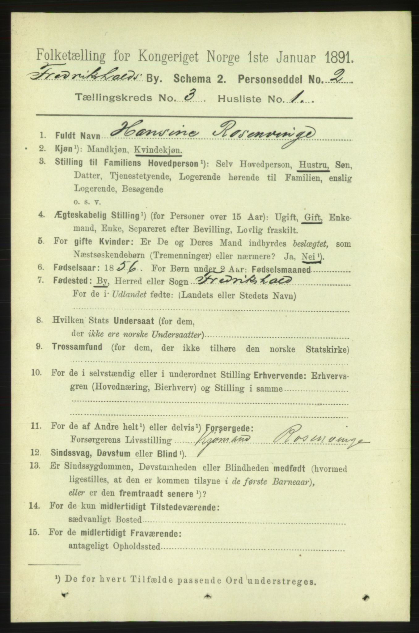 RA, 1891 census for 0101 Fredrikshald, 1891, p. 3193