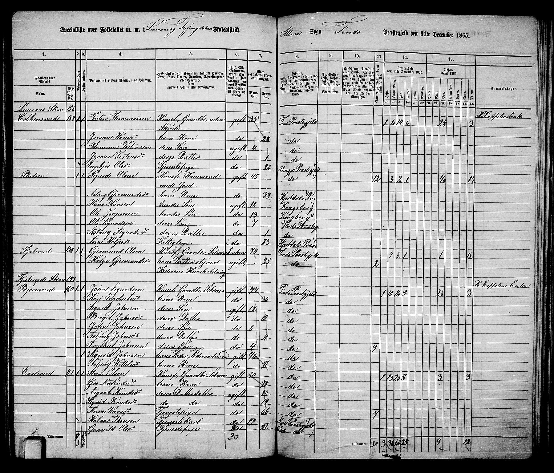 RA, 1865 census for Tinn, 1865, p. 40