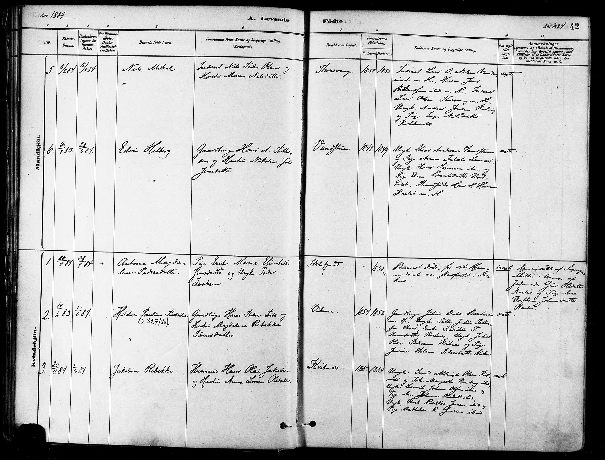 Karlsøy sokneprestembete, SATØ/S-1299/H/Ha/Haa/L0006kirke: Parish register (official) no. 6, 1879-1890, p. 42