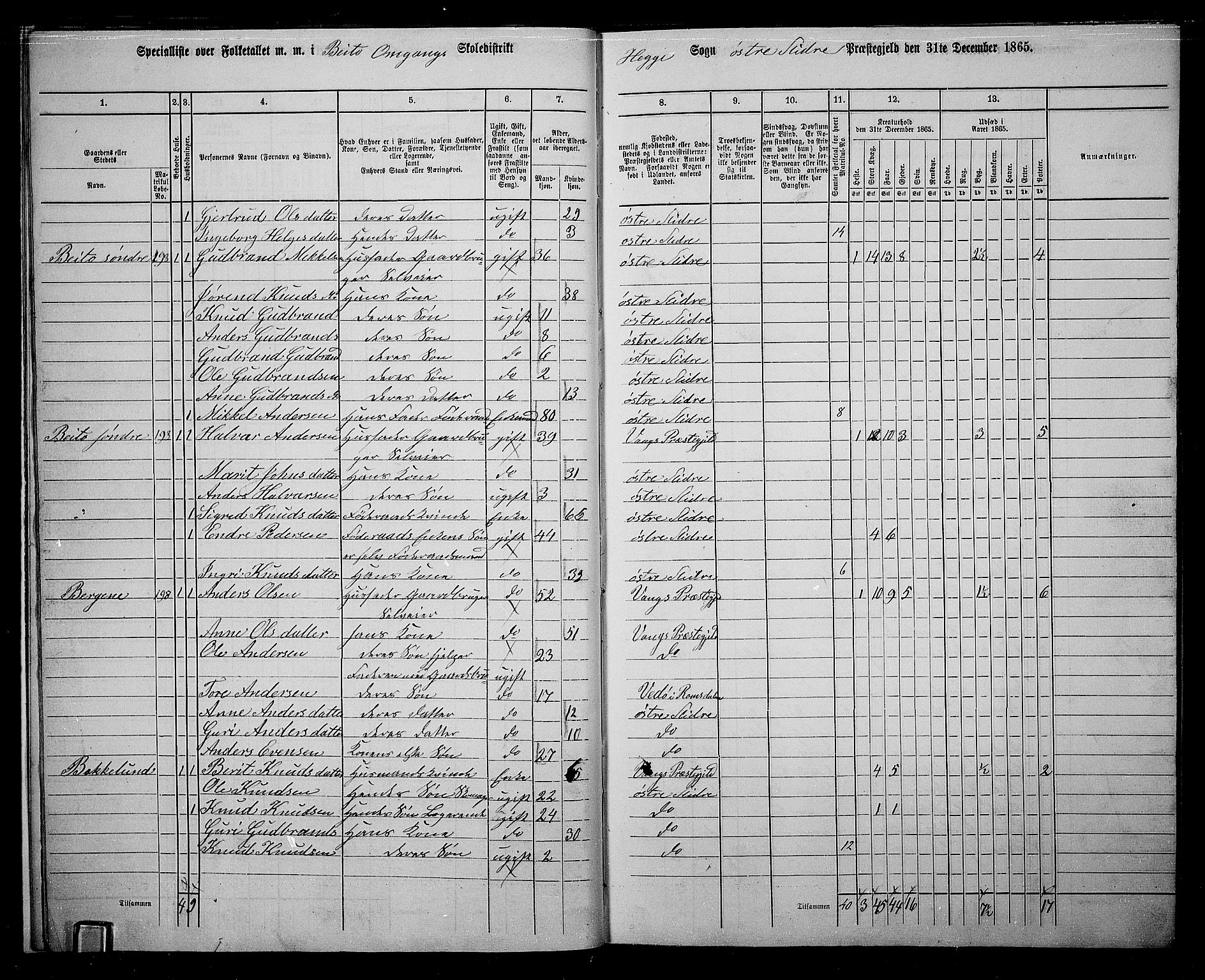 RA, 1865 census for Øystre Slidre, 1865, p. 15