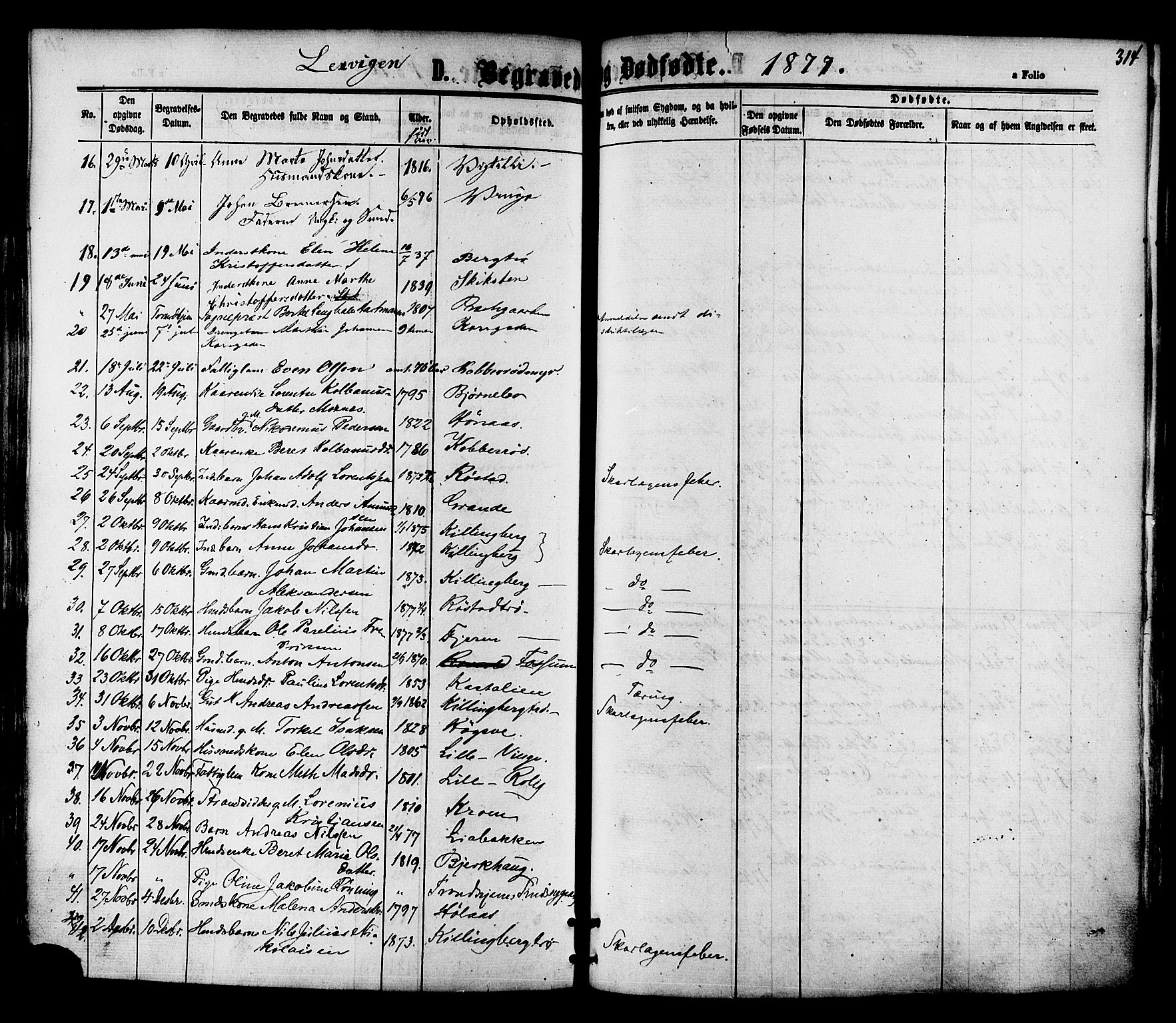 Ministerialprotokoller, klokkerbøker og fødselsregistre - Nord-Trøndelag, AV/SAT-A-1458/701/L0009: Parish register (official) no. 701A09 /1, 1864-1882, p. 314