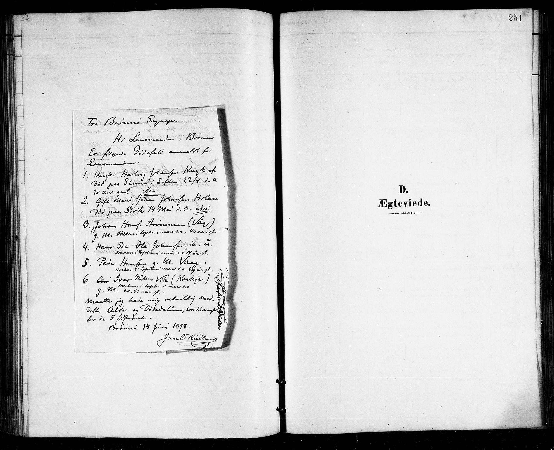 Ministerialprotokoller, klokkerbøker og fødselsregistre - Nordland, SAT/A-1459/812/L0188: Parish register (copy) no. 812C06, 1884-1912, p. 251