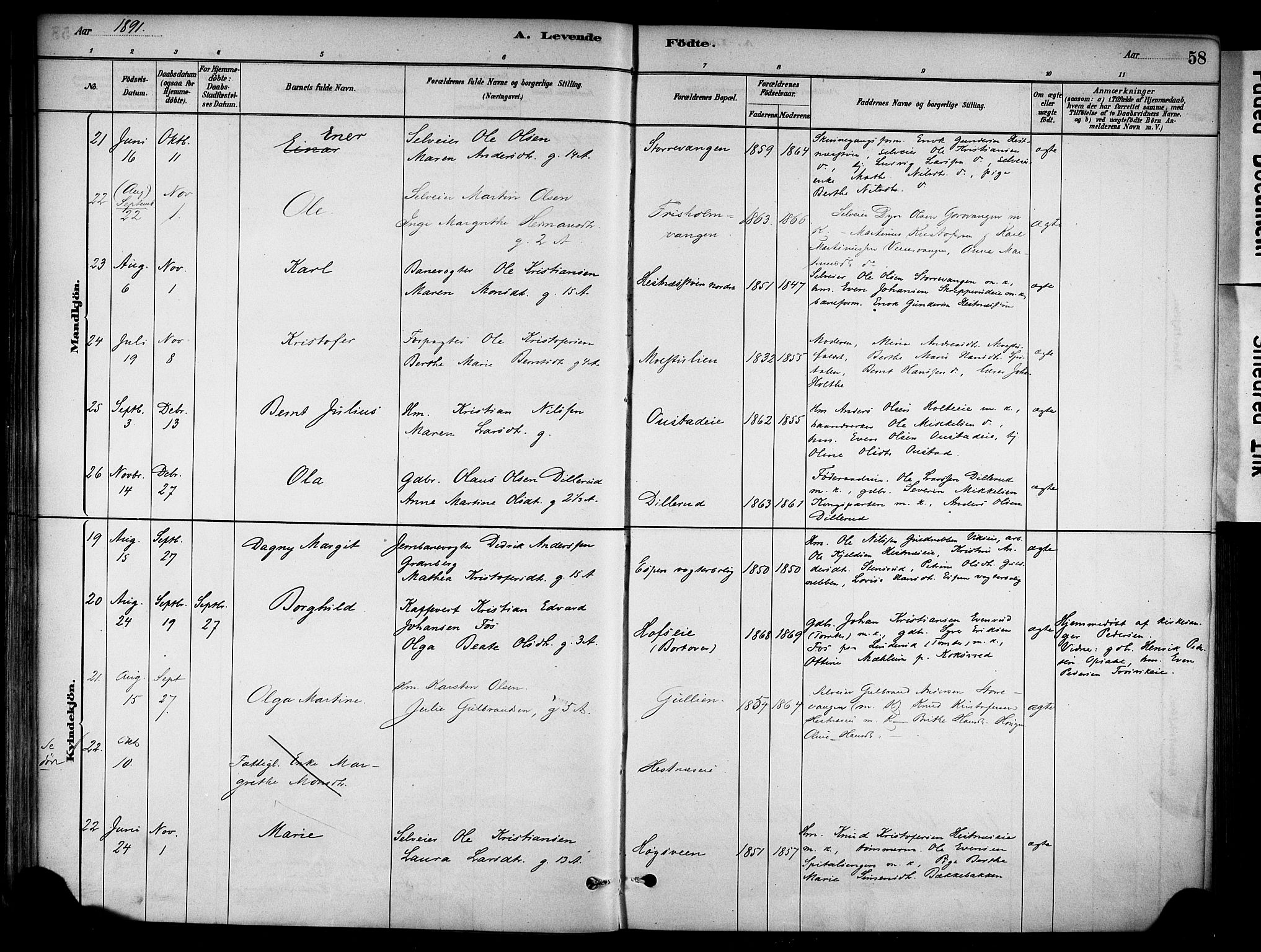 Stange prestekontor, AV/SAH-PREST-002/K/L0018: Parish register (official) no. 18, 1880-1896, p. 58