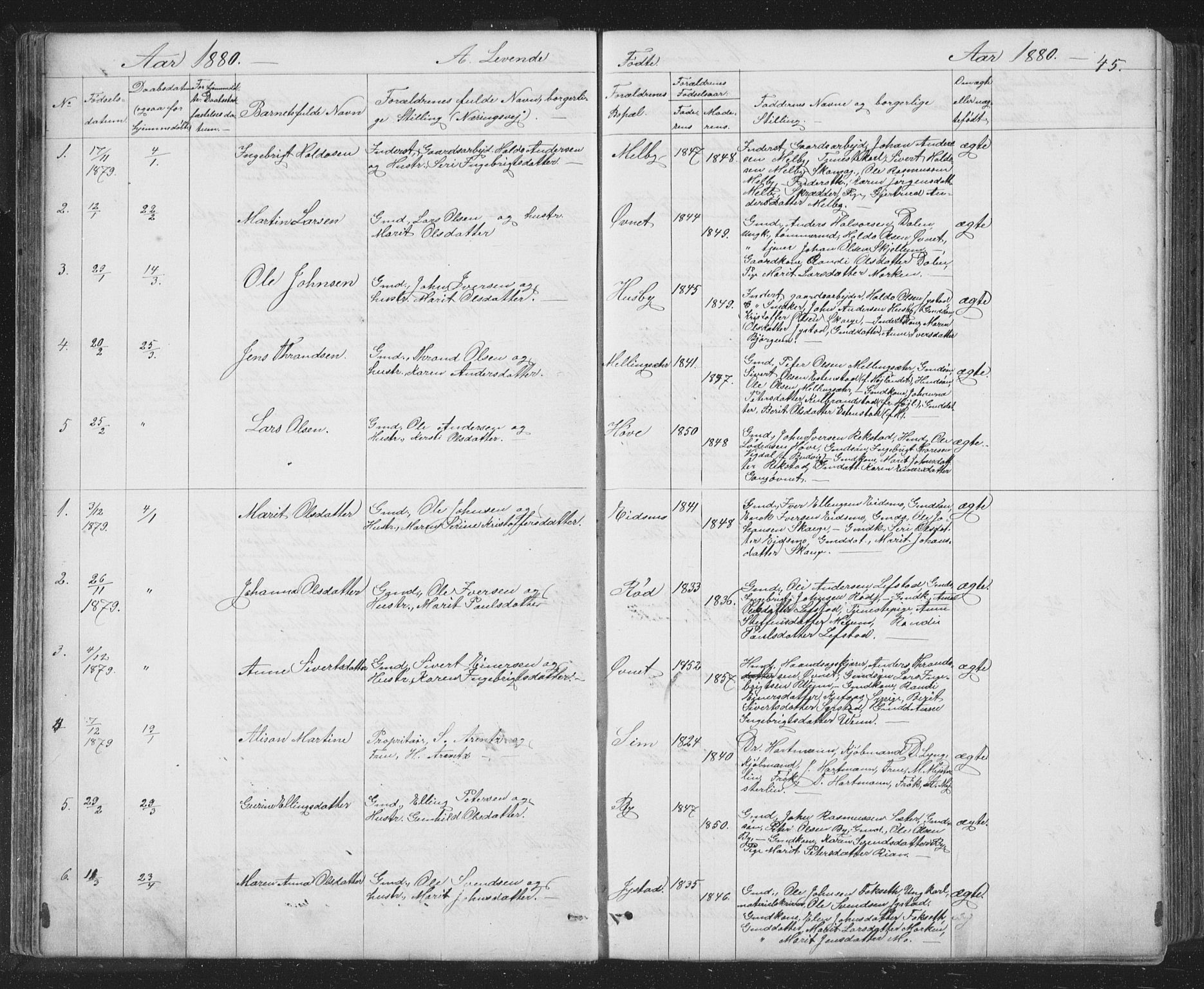 Ministerialprotokoller, klokkerbøker og fødselsregistre - Sør-Trøndelag, SAT/A-1456/667/L0798: Parish register (copy) no. 667C03, 1867-1929, p. 45