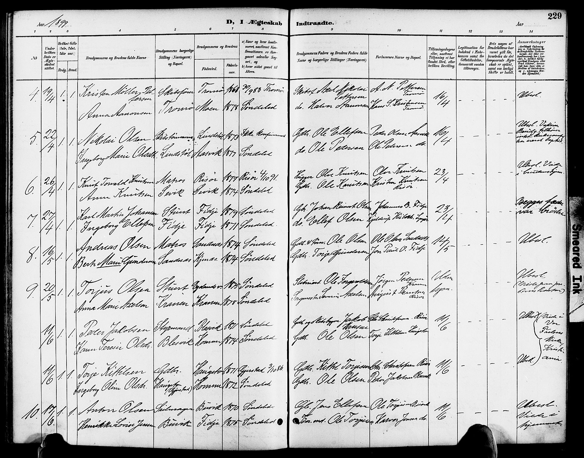 Søndeled sokneprestkontor, AV/SAK-1111-0038/F/Fa/L0005: Parish register (official) no. A 5, 1889-1899, p. 229