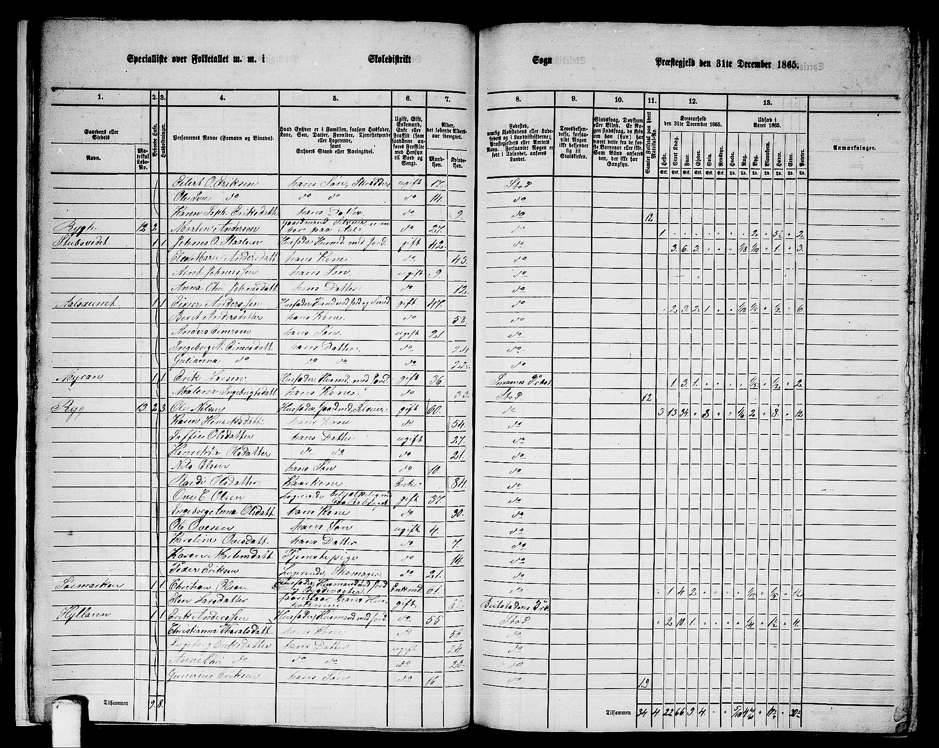 RA, 1865 census for Stod, 1865, p. 18