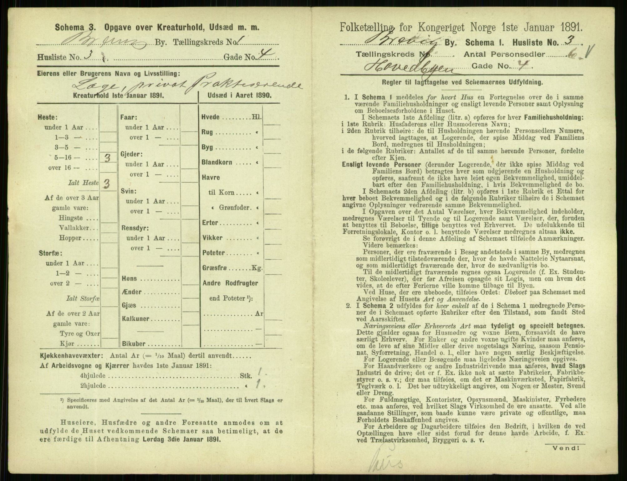 RA, 1891 census for 0804 Brevik, 1891, p. 23
