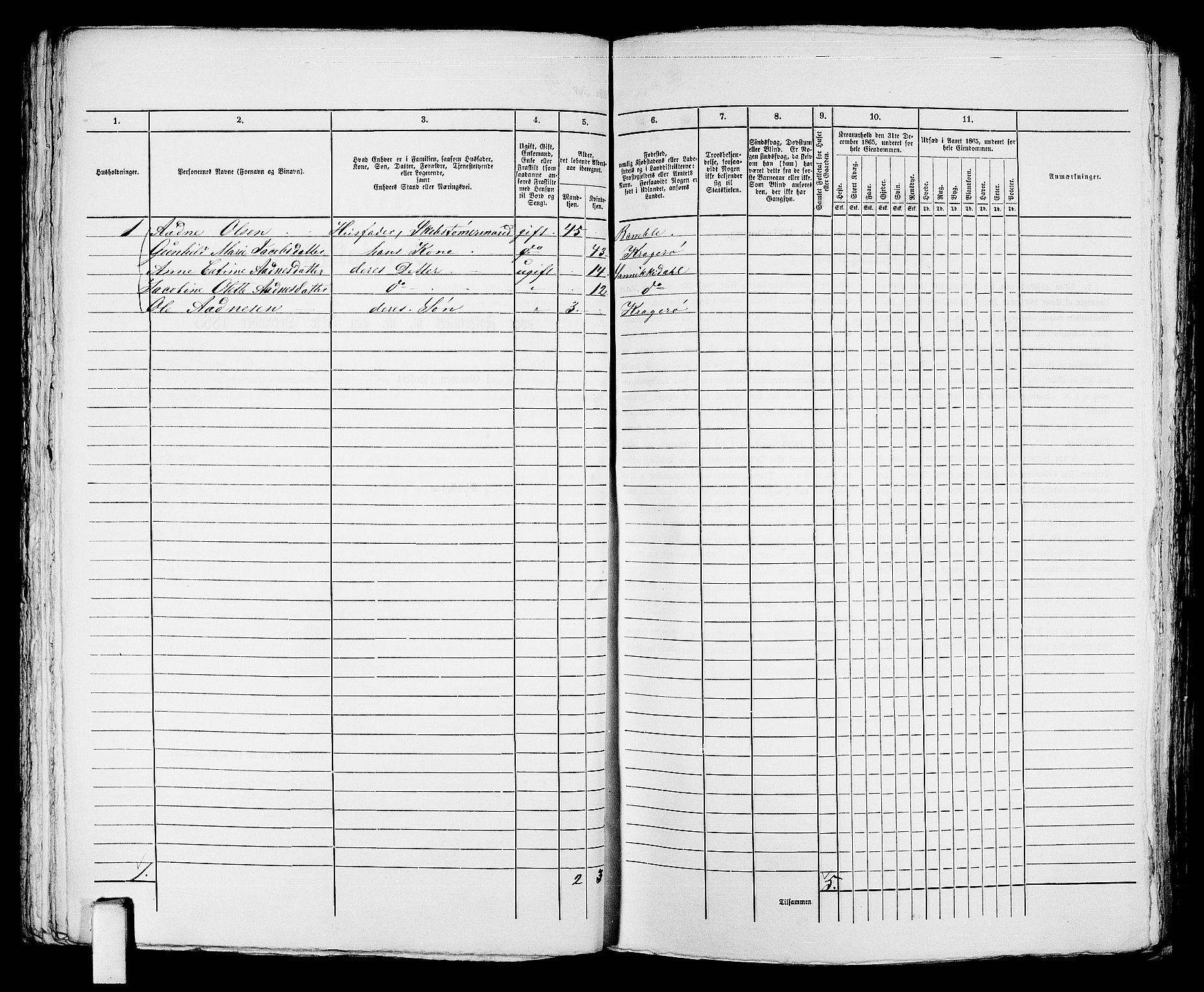 RA, 1865 census for Kragerø/Kragerø, 1865, p. 196
