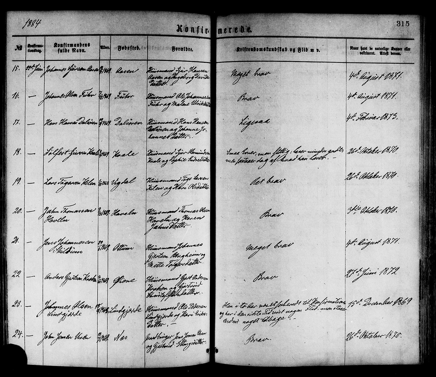 Luster sokneprestembete, AV/SAB-A-81101/H/Haa/Haaa/L0010: Parish register (official) no. A 10, 1871-1886, p. 315