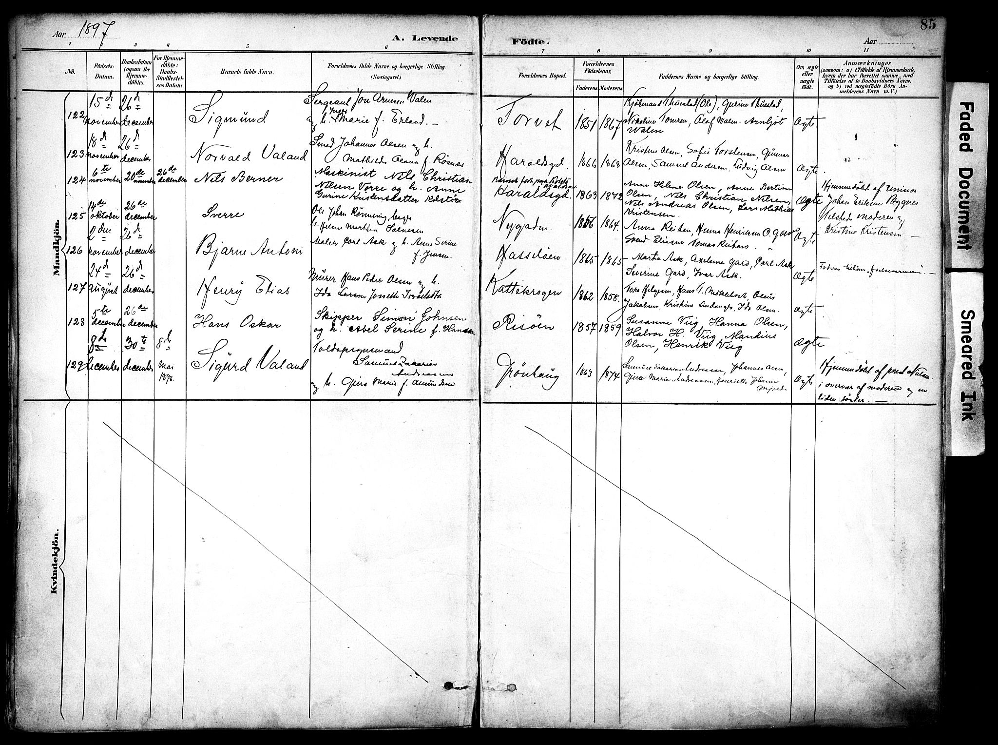 Haugesund sokneprestkontor, SAST/A -101863/H/Ha/Haa/L0006: Parish register (official) no. A 6, 1891-1907, p. 85