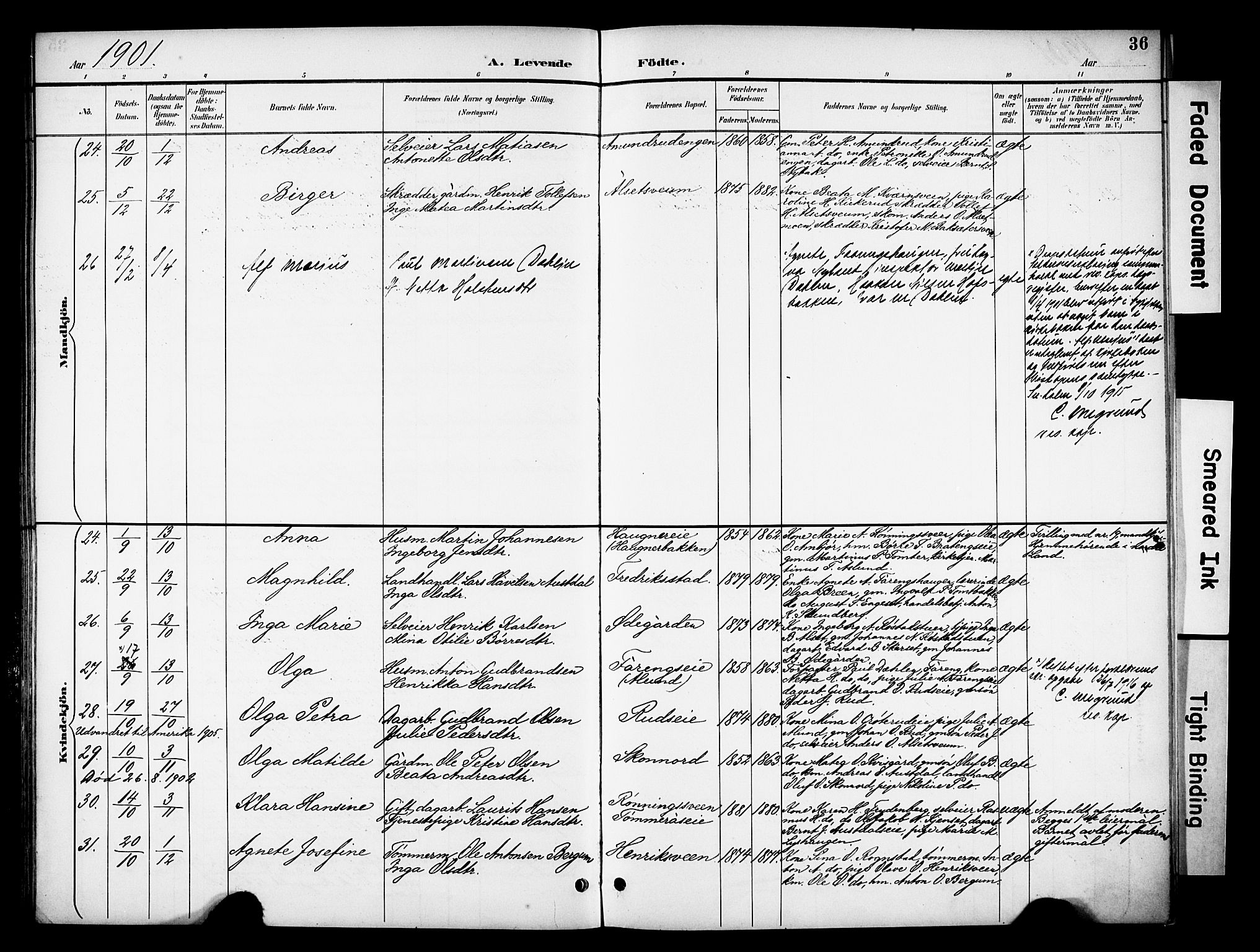 Biri prestekontor, AV/SAH-PREST-096/H/Ha/Haa/L0008: Parish register (official) no. 8, 1894-1901, p. 36